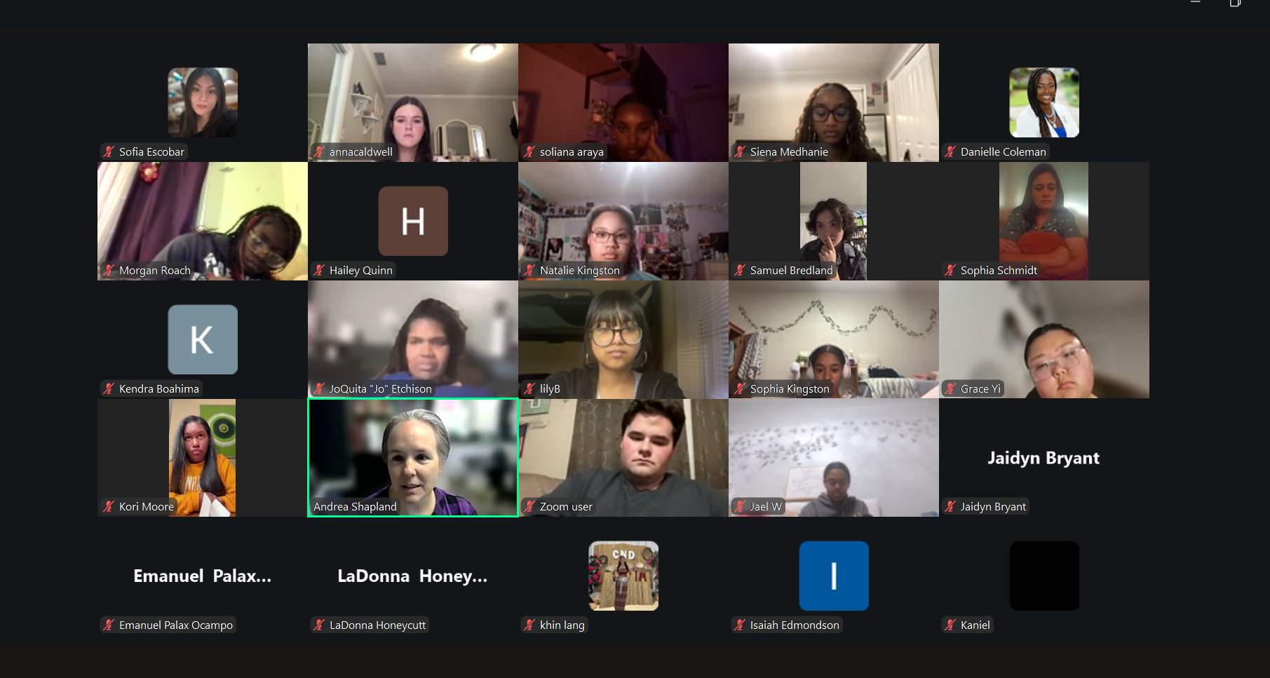 Screenshot of a virtual meeting with multiple participants on a video call. Each participant's video feed and name are visible, some with cameras on and others with initials or profile pictures. The participants are in various indoor settings, and the interface shows muted microphones.