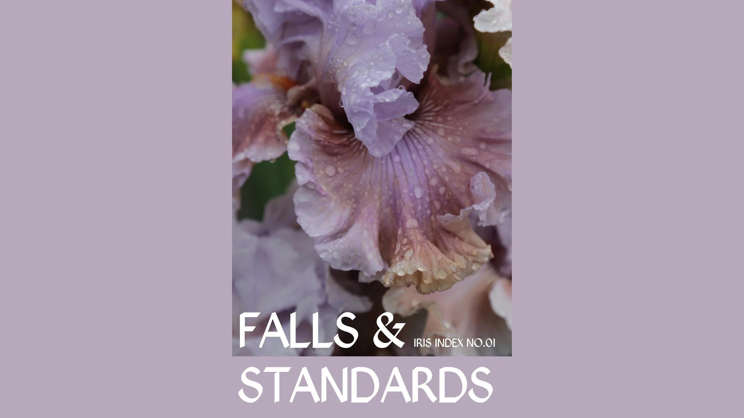Falls & Standards Iris Index No. 1 2022