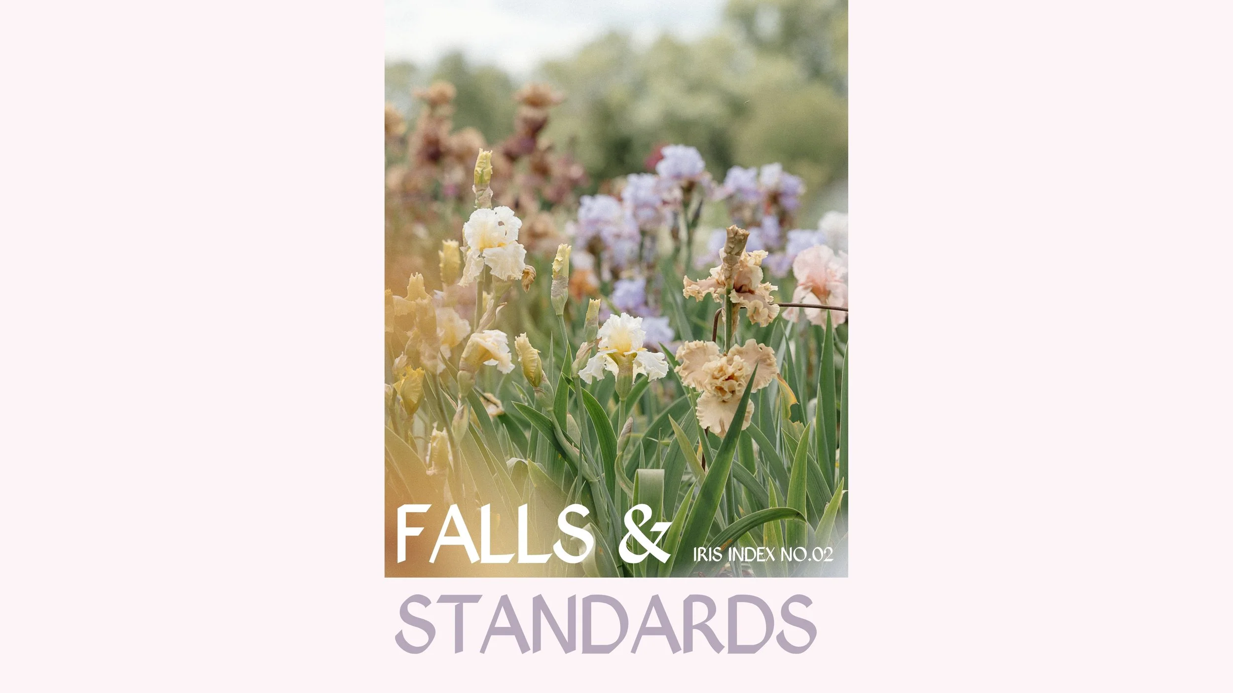 Falls & Standards Iris Index No. 2 2026