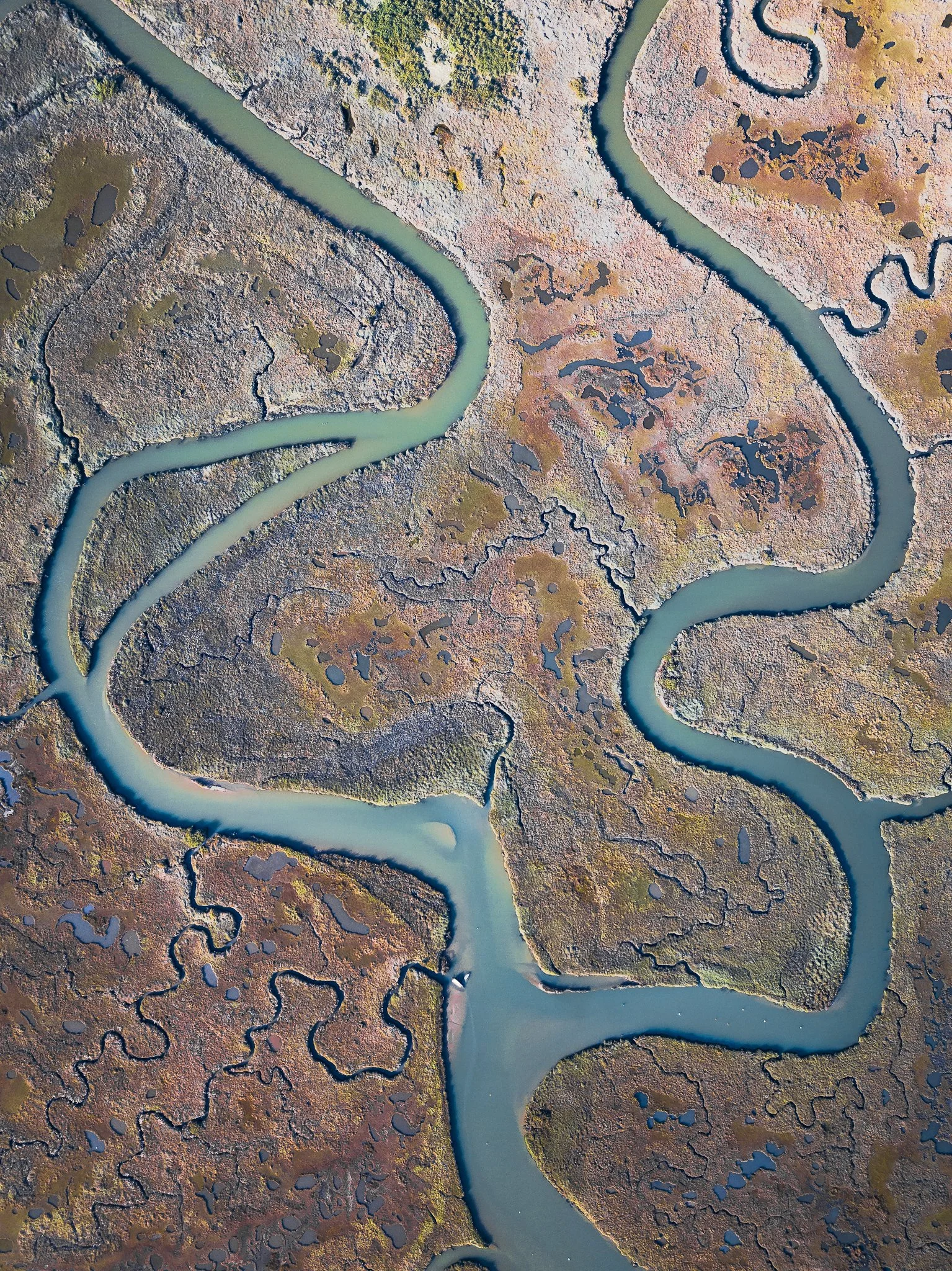 Aerial view of a meandering river cutting through a landscape of marshy wetlands with patches of dry land and small water bodies.