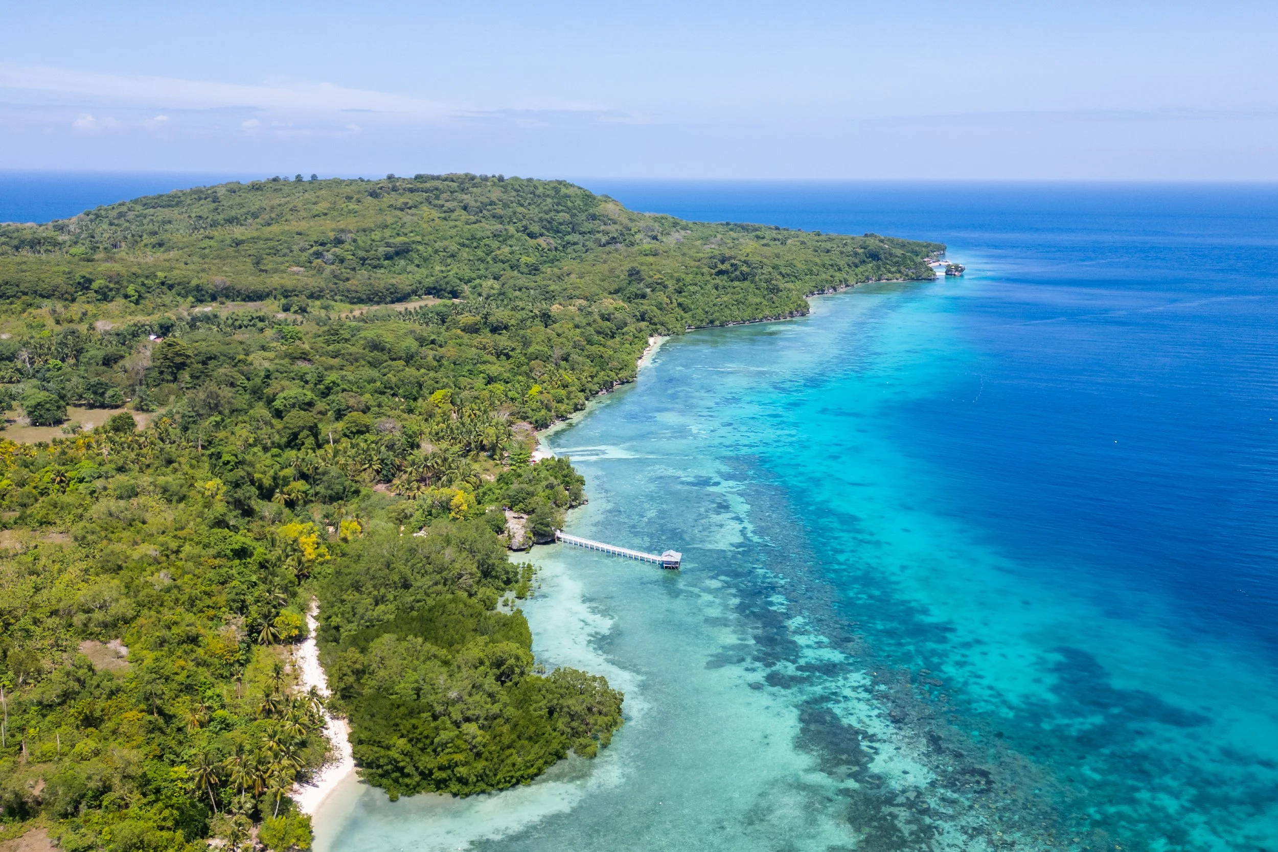 Aerial view of a lush green island with a sandy beach and a pier extending into the turquoise ocean, with a blue sky overhead.