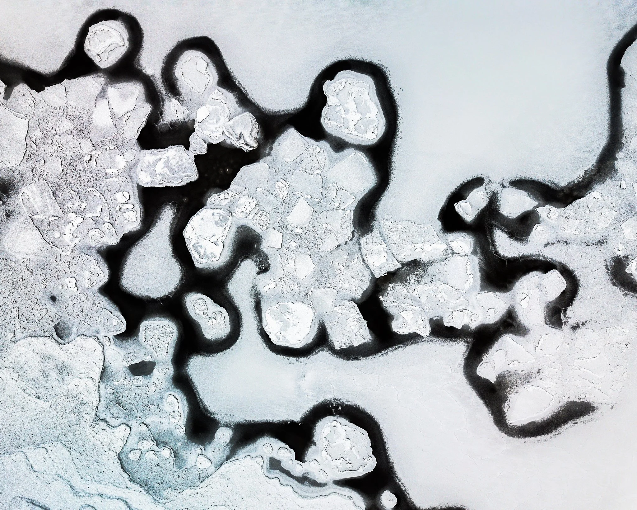 Abstract black and white melting ice featuring irregular white shapes outlined by black lines, resembling a microscopic view or organic pattern.