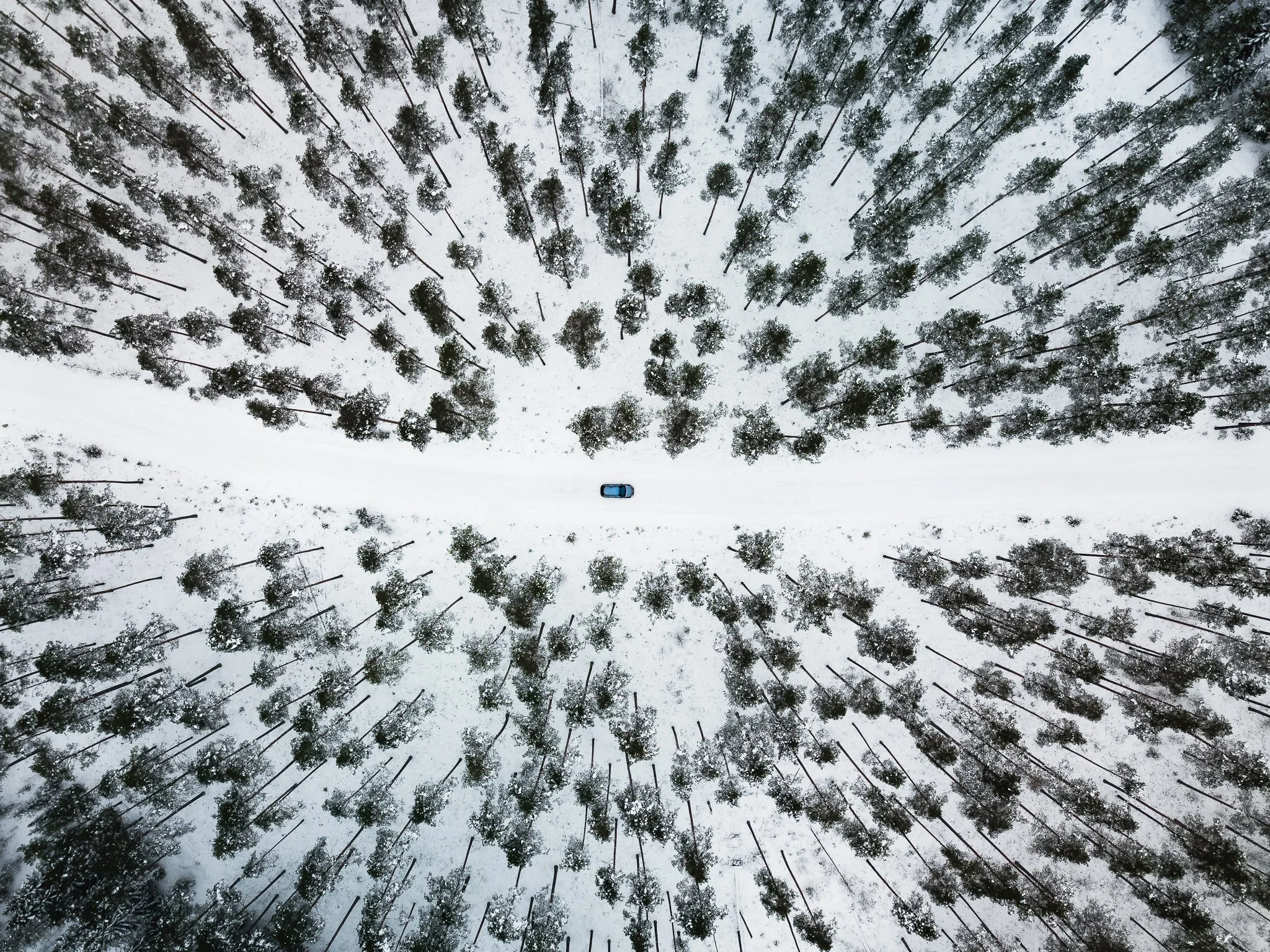 An aerial view of a snowy forest with tall, thin trees and a blue vehicle driving on a snow-covered road.