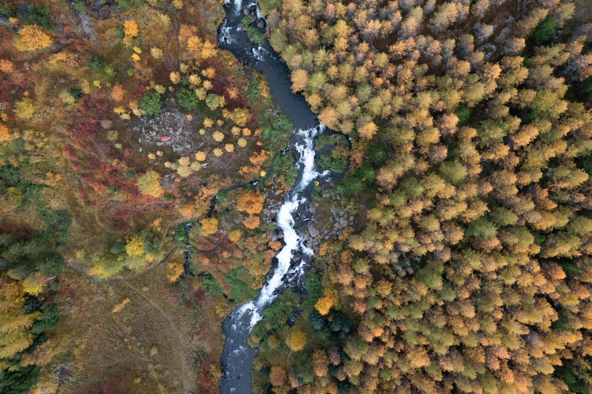 An aerial view of a river flowing through a dense forest with trees in fall colors, and a small red vehicle parked near the bottom left.