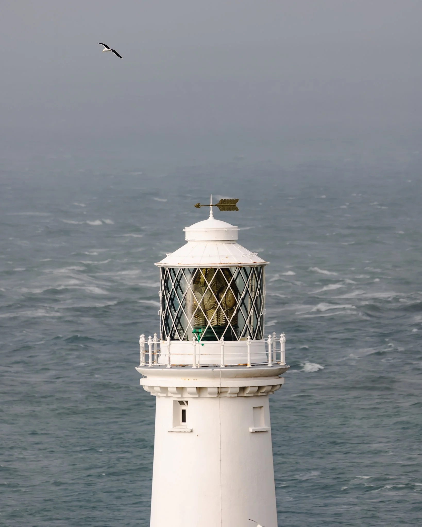 A lighthouse standing in the ocean with a seagull flying overhead.