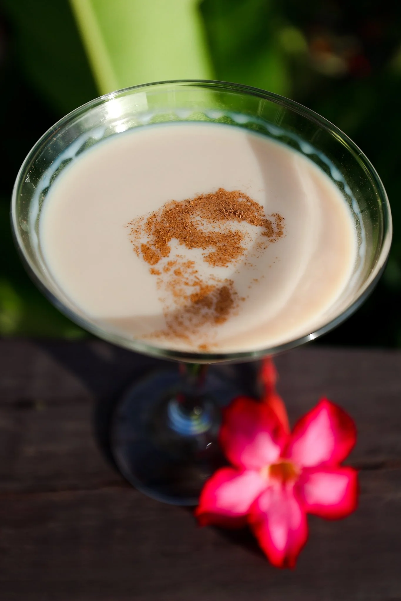 A close-up of a glass filled with piña colada garnished with ground cinnamon, with blurred pink flowers and greenery in the background.