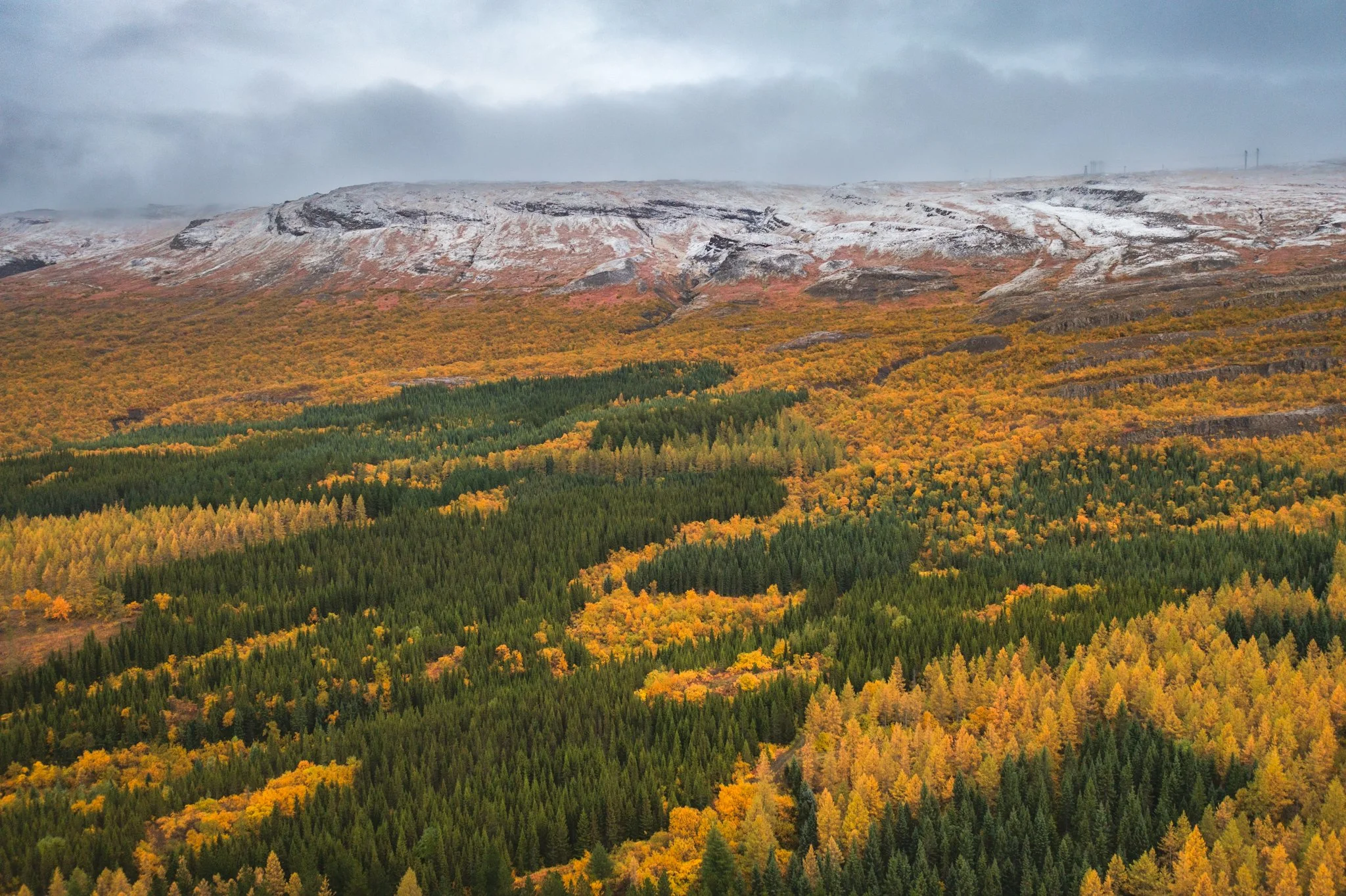 A mountain landscape with a snow-dusted peak and a forest with vibrant orange and green foliage in the foreground, under a cloudy sky.