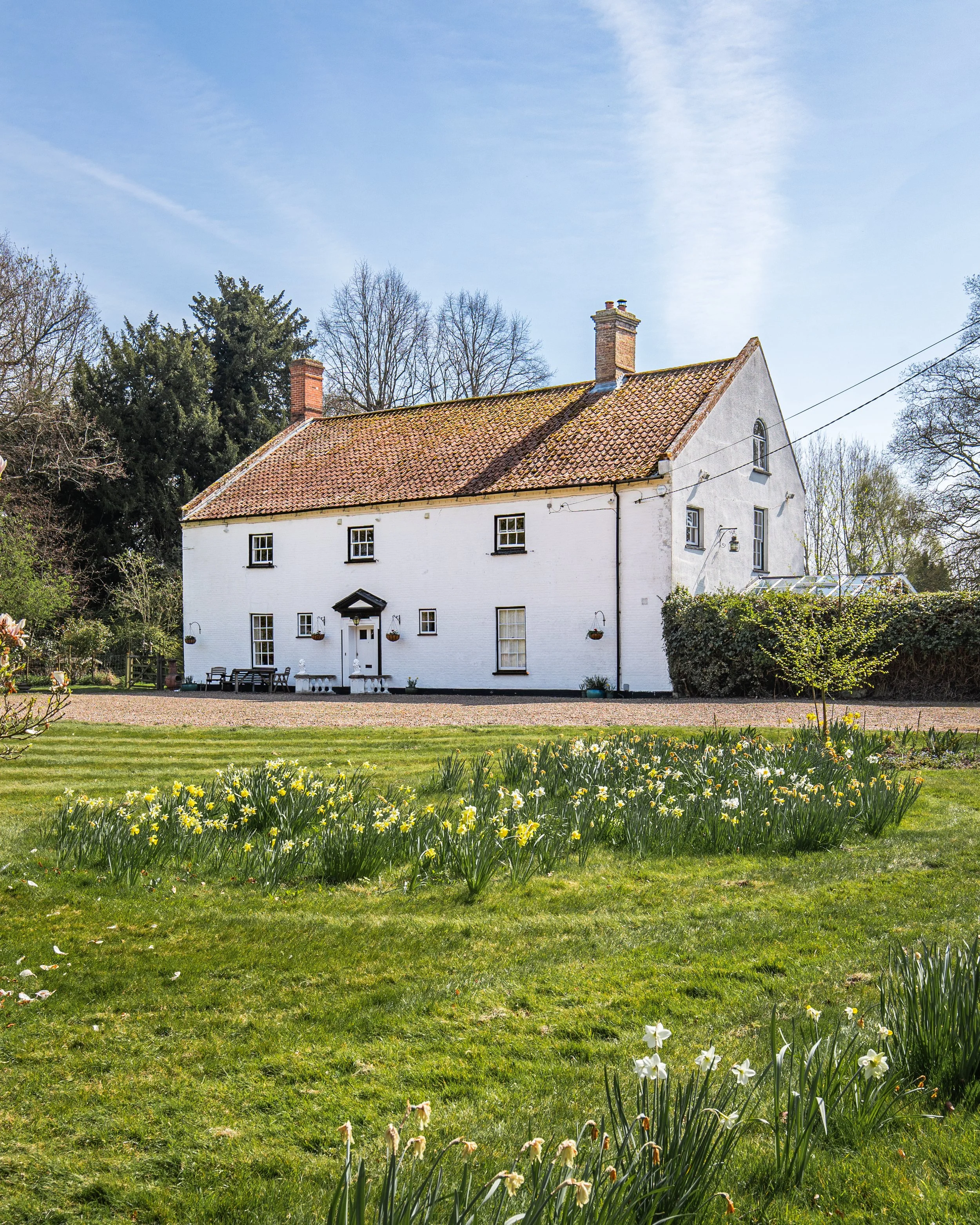 A white house with a sloped roof and brick chimneys surrounded by a lush garden with daffodils and trees, under a blue sky with wispy clouds.