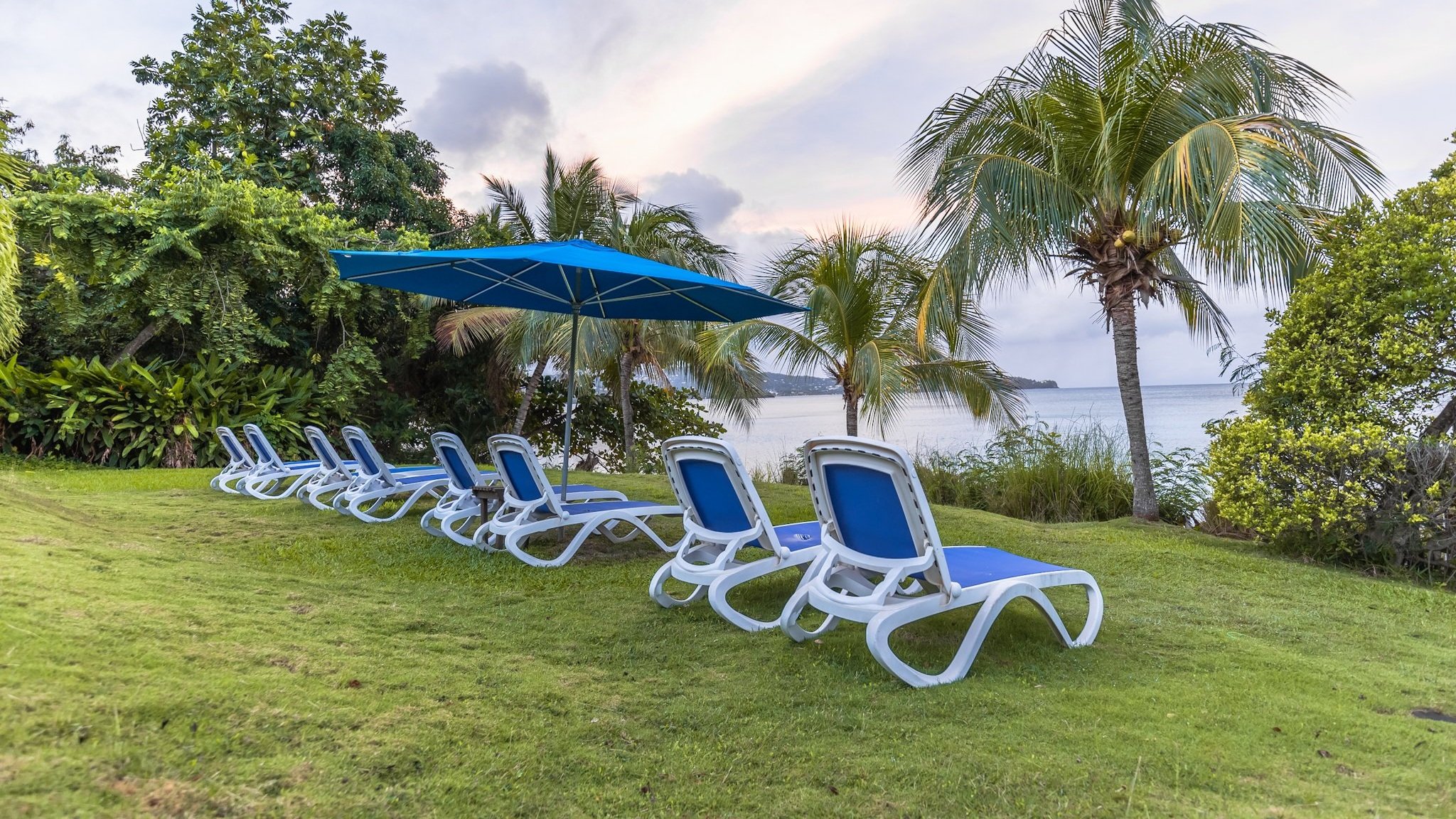 Beachside scene with multiple blue and white lounge chairs arranged on green grass, an open blue umbrella, tropical palm trees, and a view of the ocean and cloudy sky in the background.