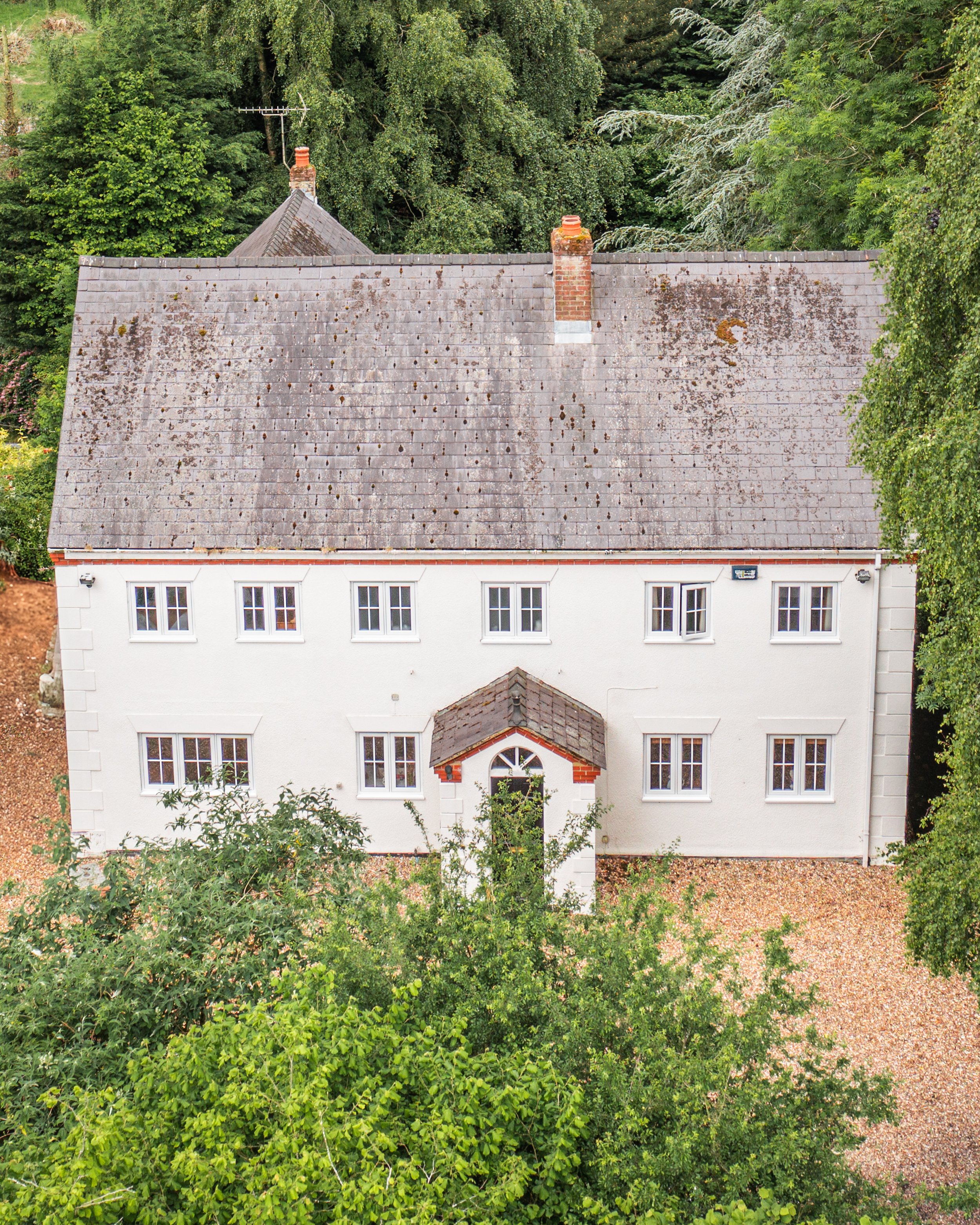 An aerial view of a house roof covered with moss and lichen, surrounded by dense green foliage and trees.