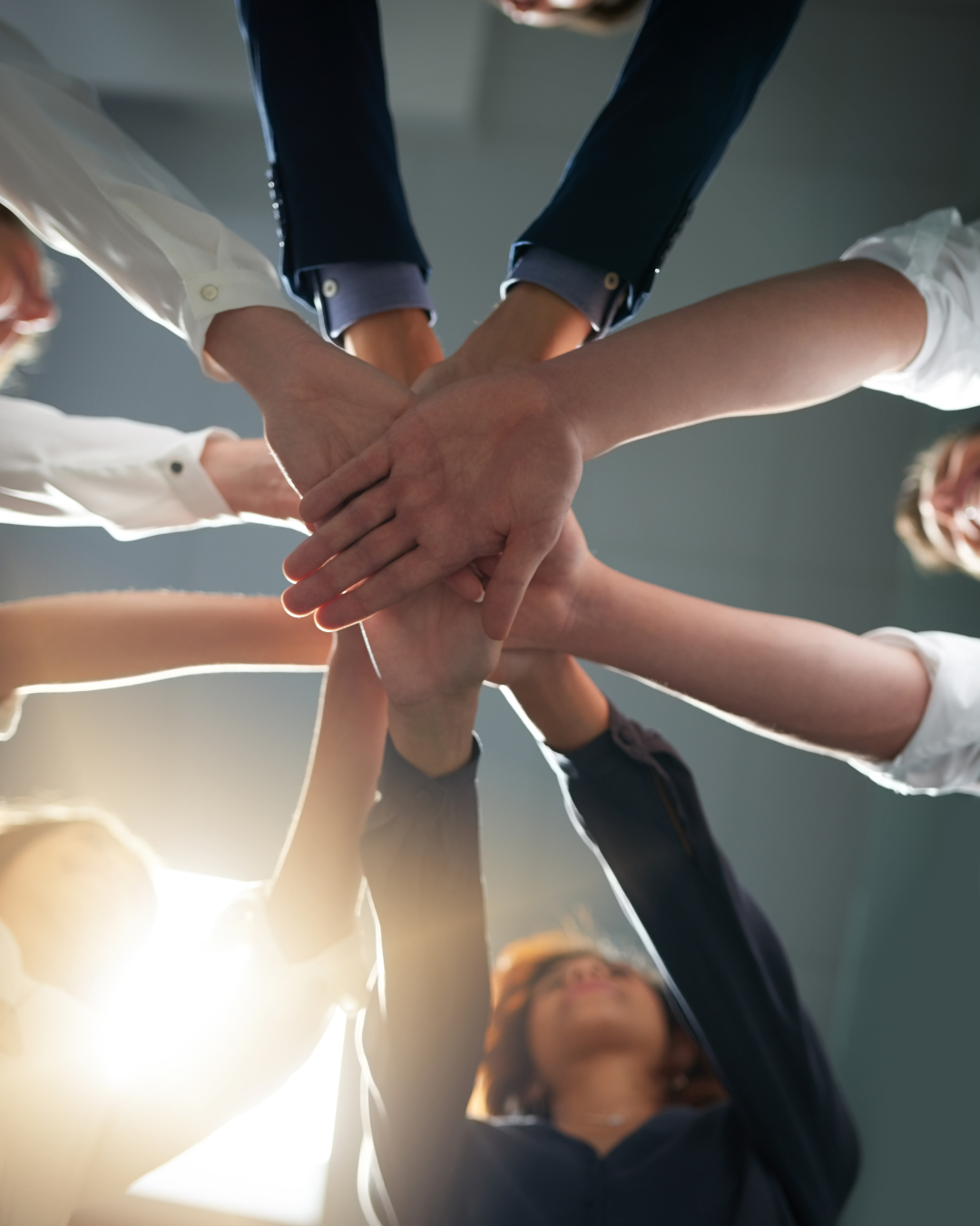 We Handle Coordination