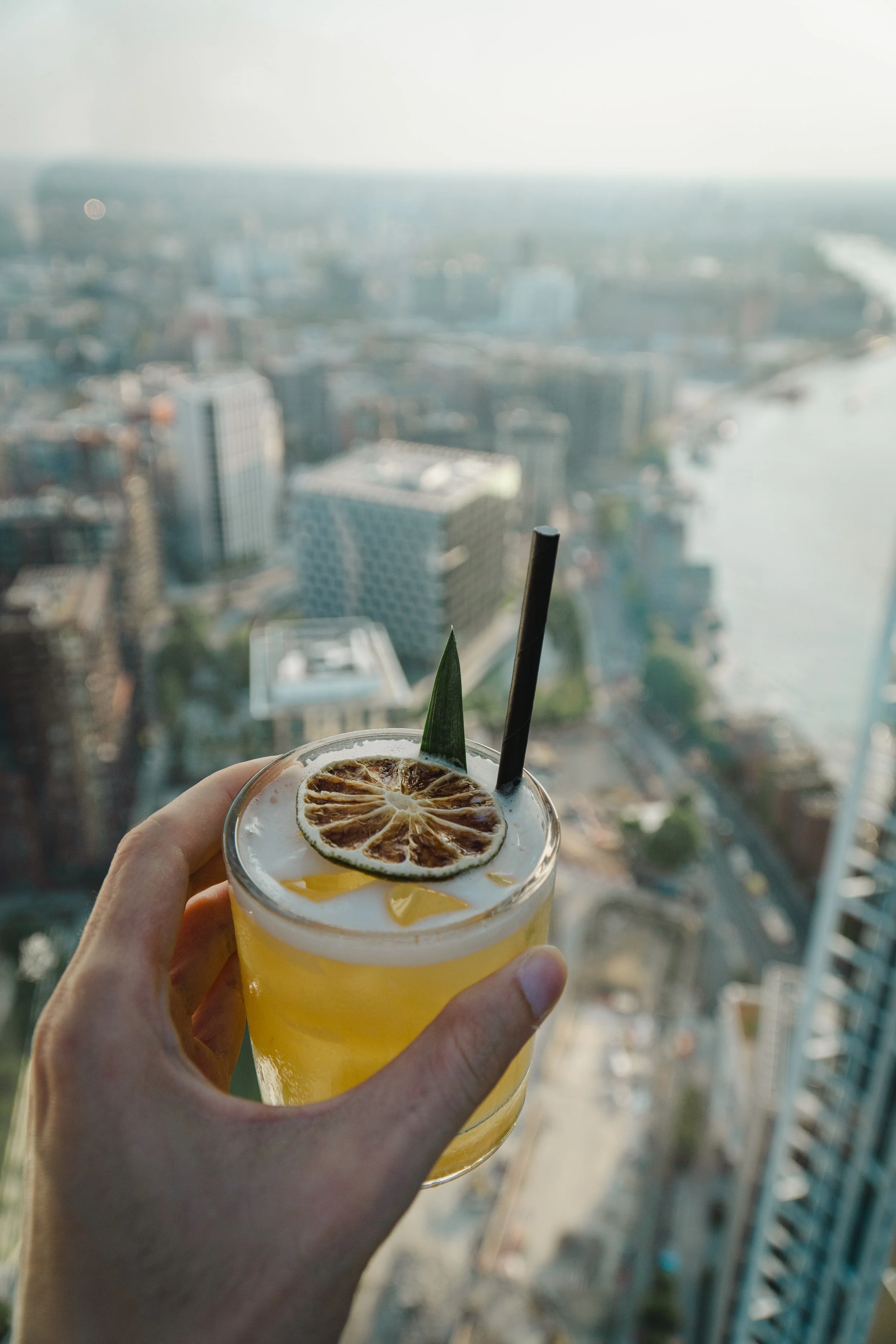 A hand holding a glass of yellow cocktail garnished with a dried citrus slice and a leaf, with a city skyline and river in the background.