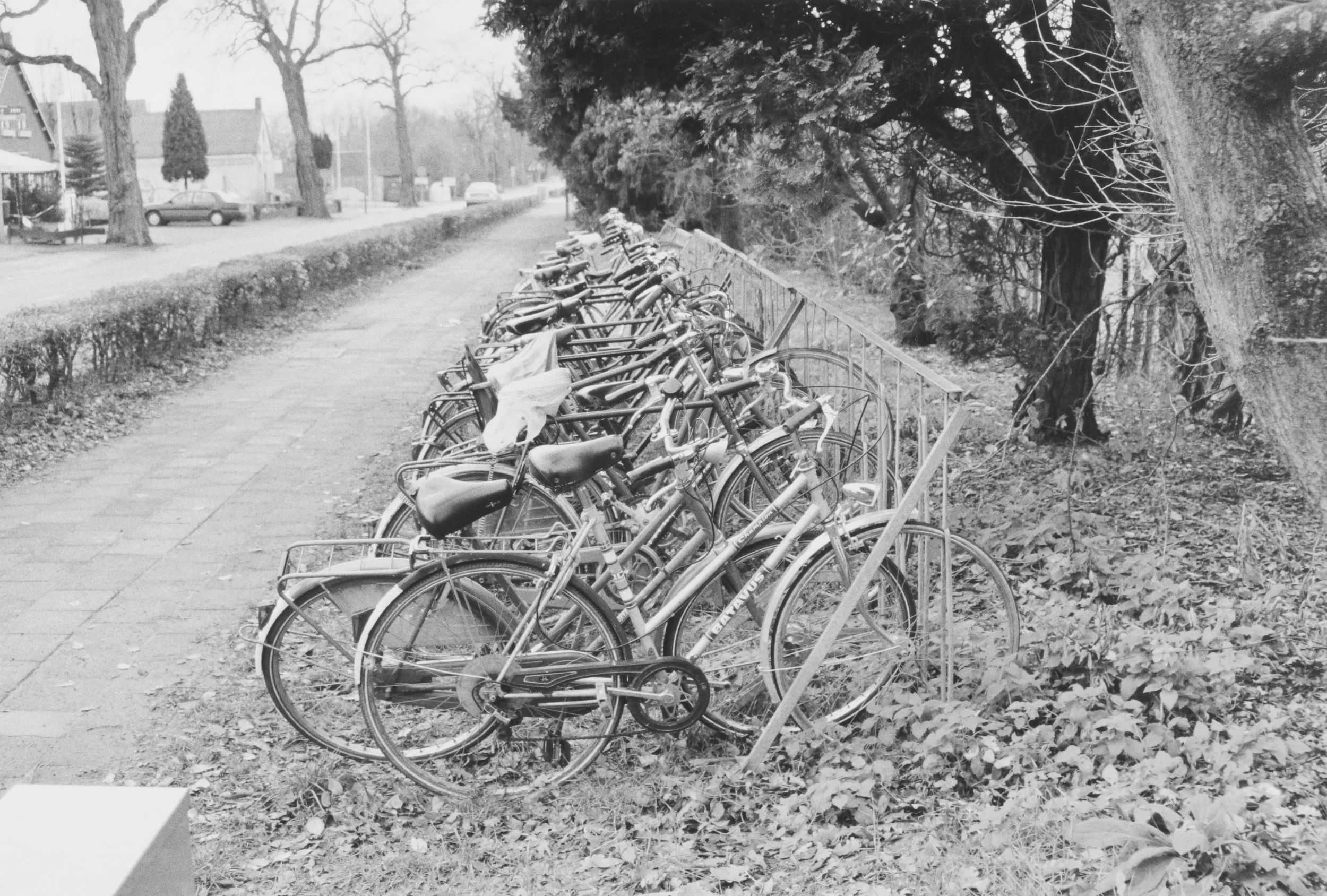 Bikes in Well, The Netherlands