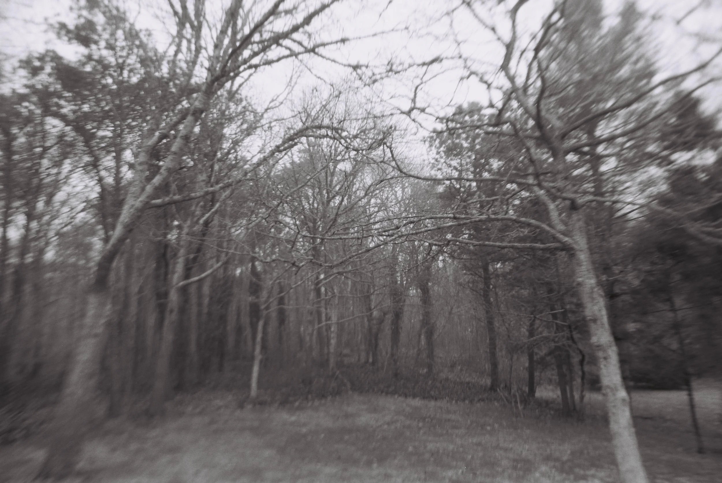 Harwich, Massachusetts
