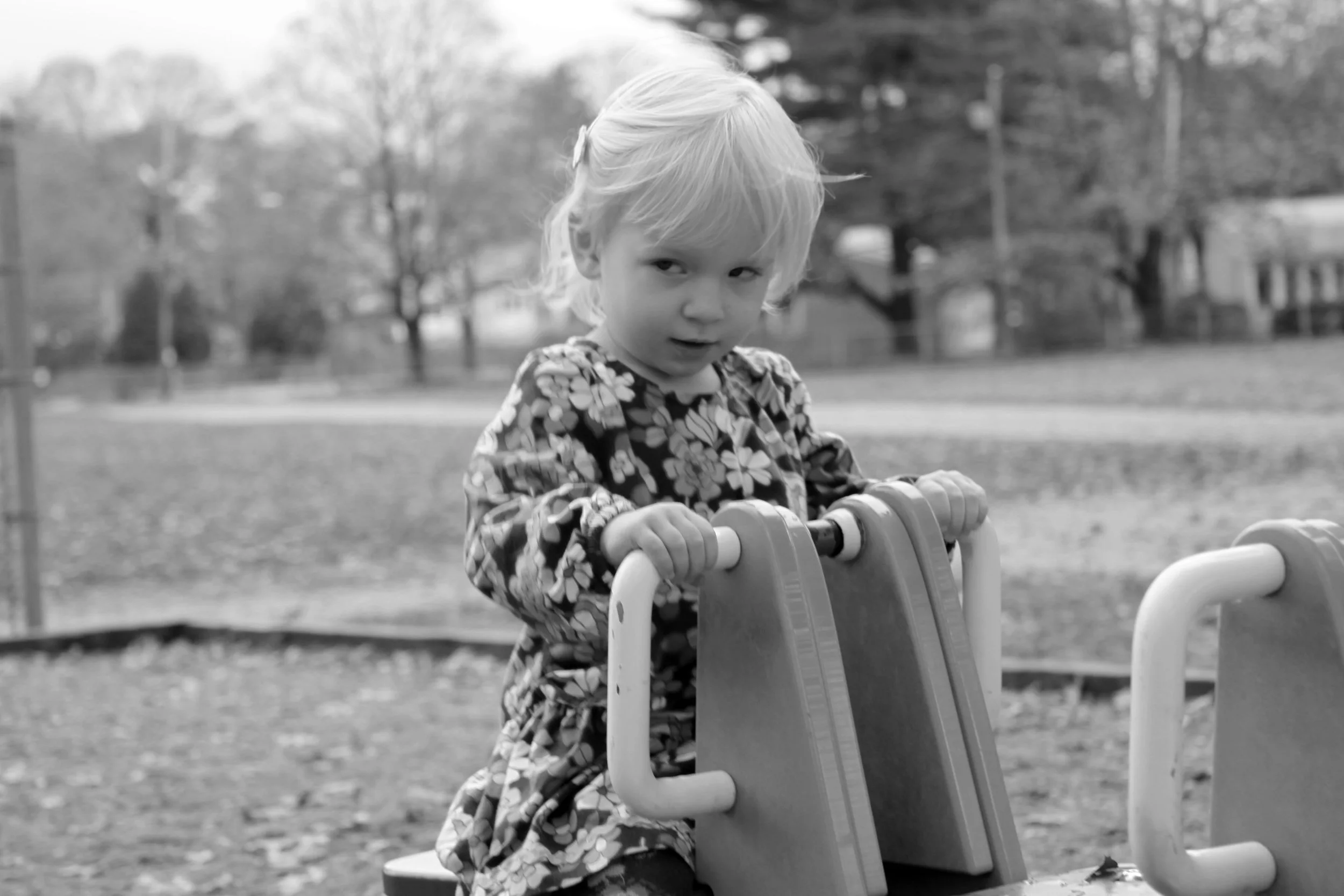 Alexandra, Newton, Massachusetts