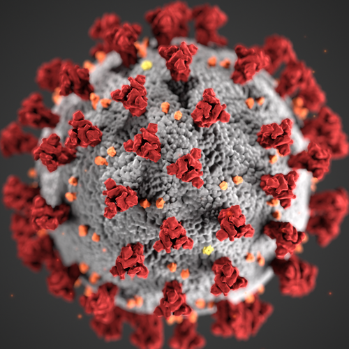 March 25th Meeting Recap - Last Night at School Committee