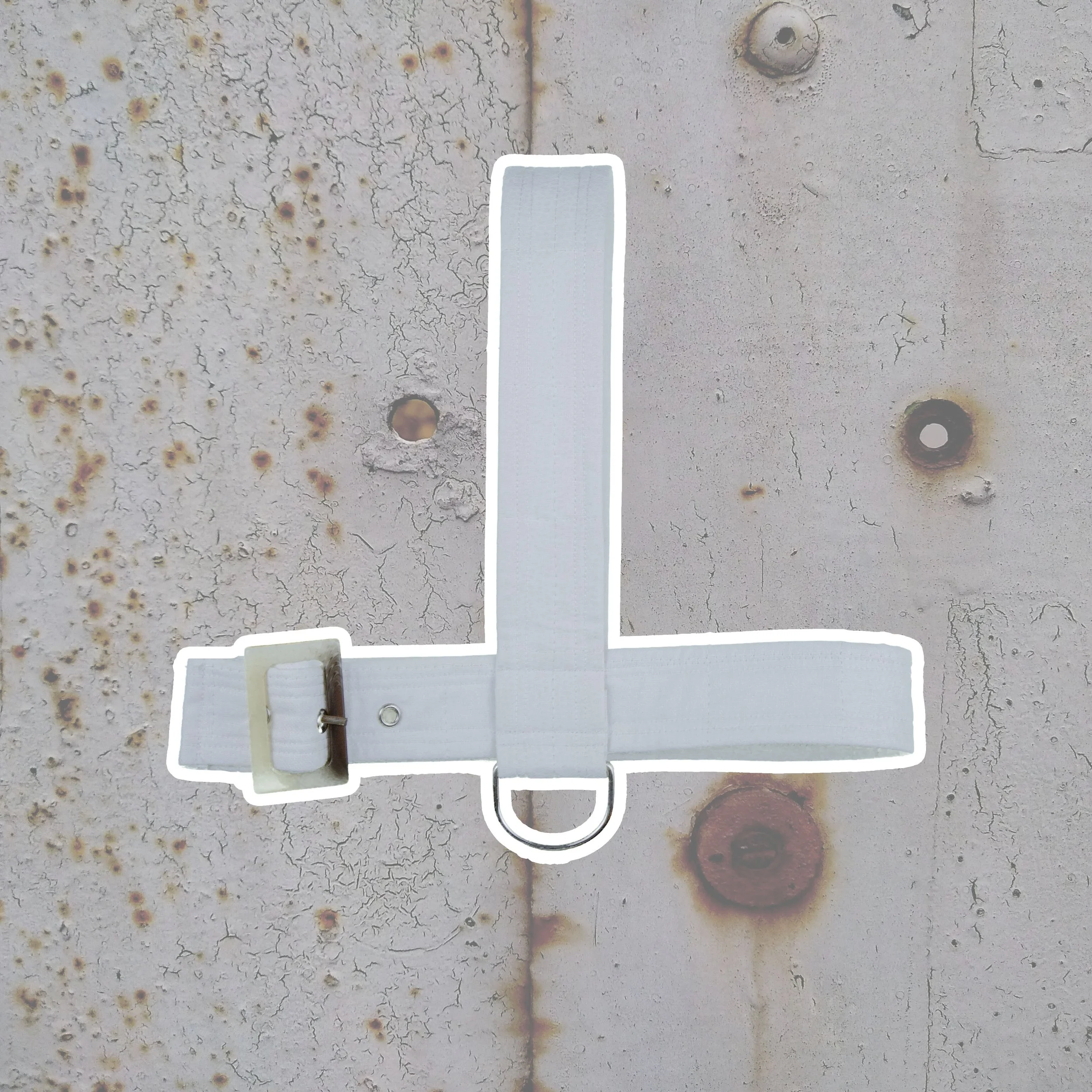 "Chloroform" White Face Harness