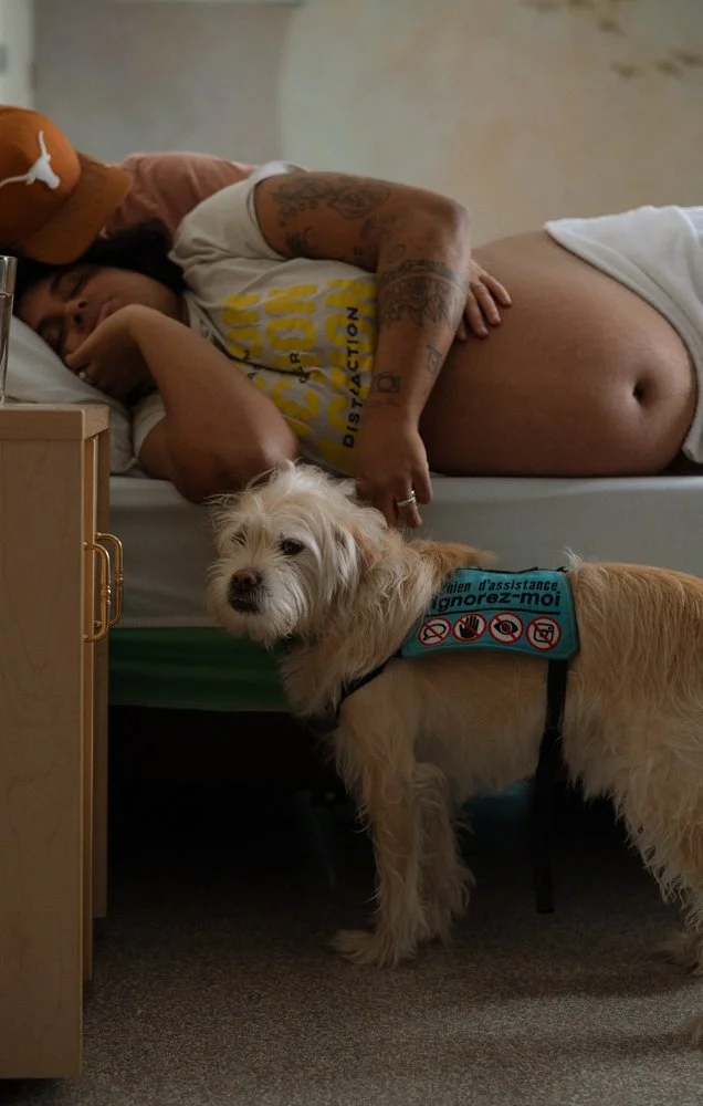 Un homme allongé dans un lit avec un chien à ses côtés. Le chien porte un gilet avec des instructions en français. L'homme porte un t-shirt blanc avec du texte jaune. La pièce semble être une chambre.