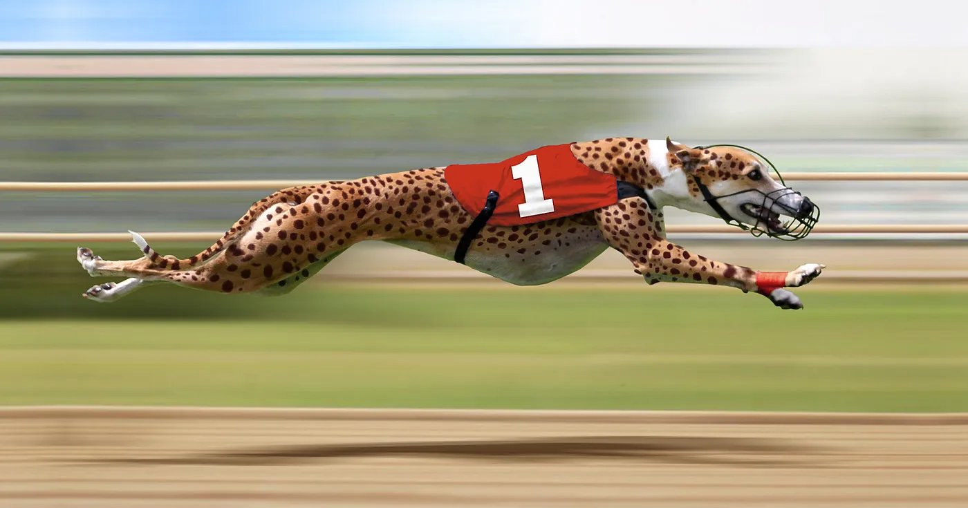 The lesser spotted Grey-Cheethound — combines preeminent attributes to define the exceptional.