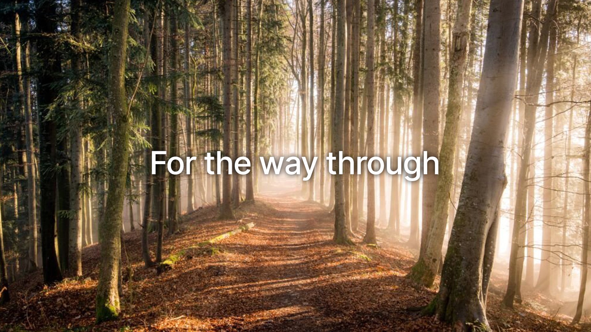 roche_forthewaythrough_00 copy.jpg