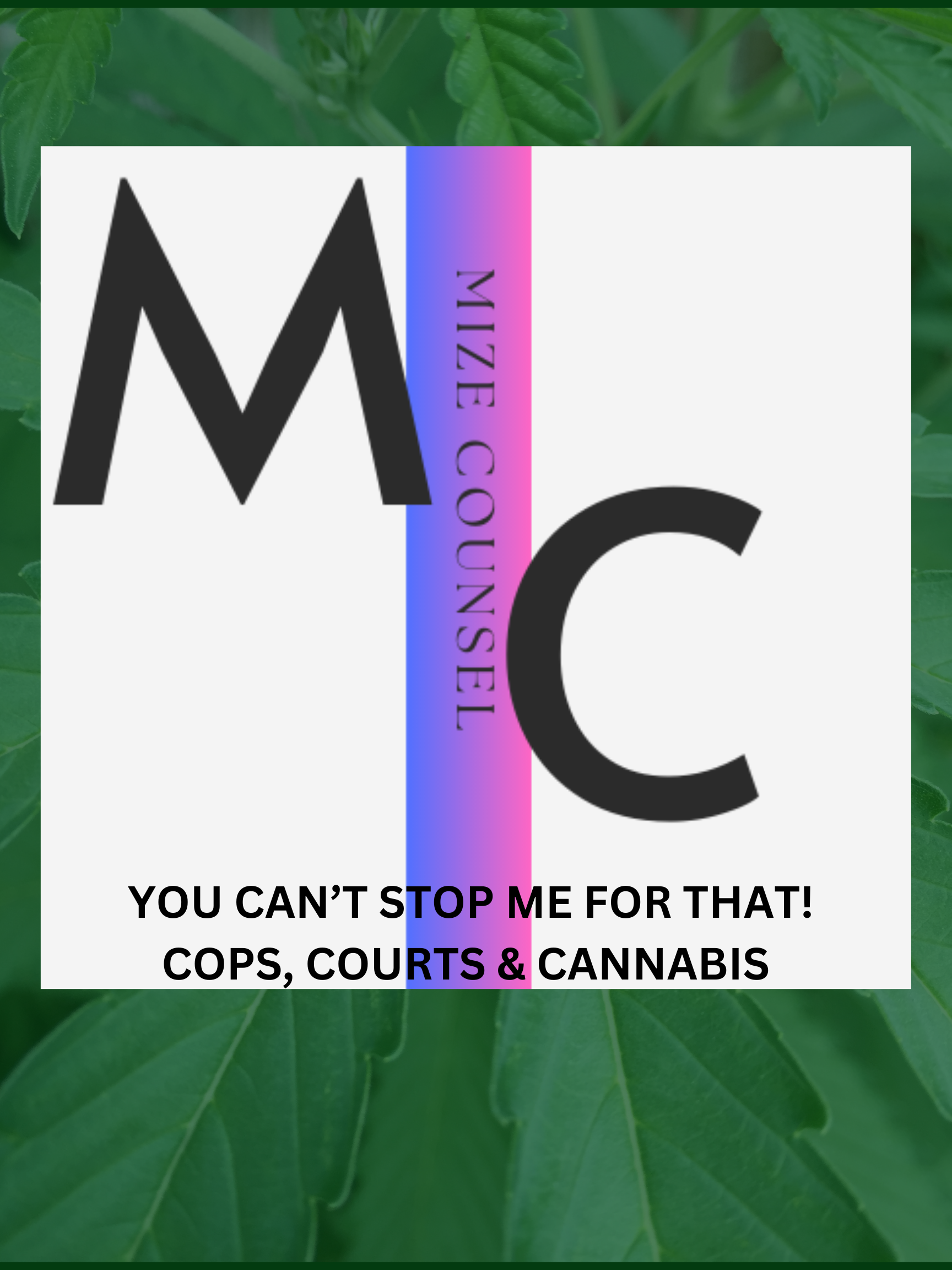 YOU CAN'T STOP ME FOR THAT-2.png