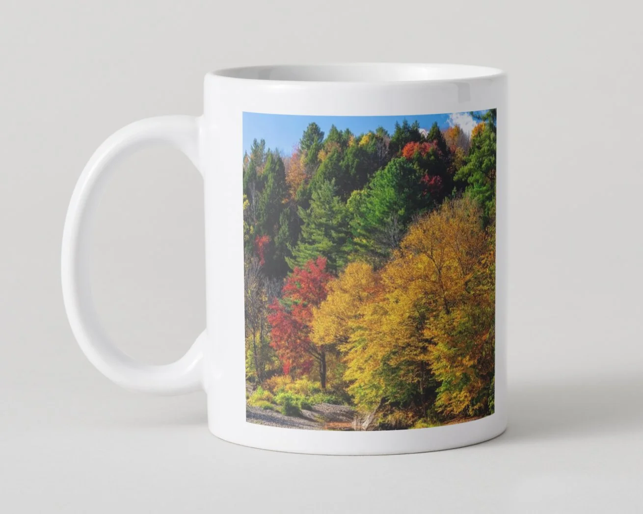 IMGC9966 5x5 MUG IMAGE 1-100.jpg