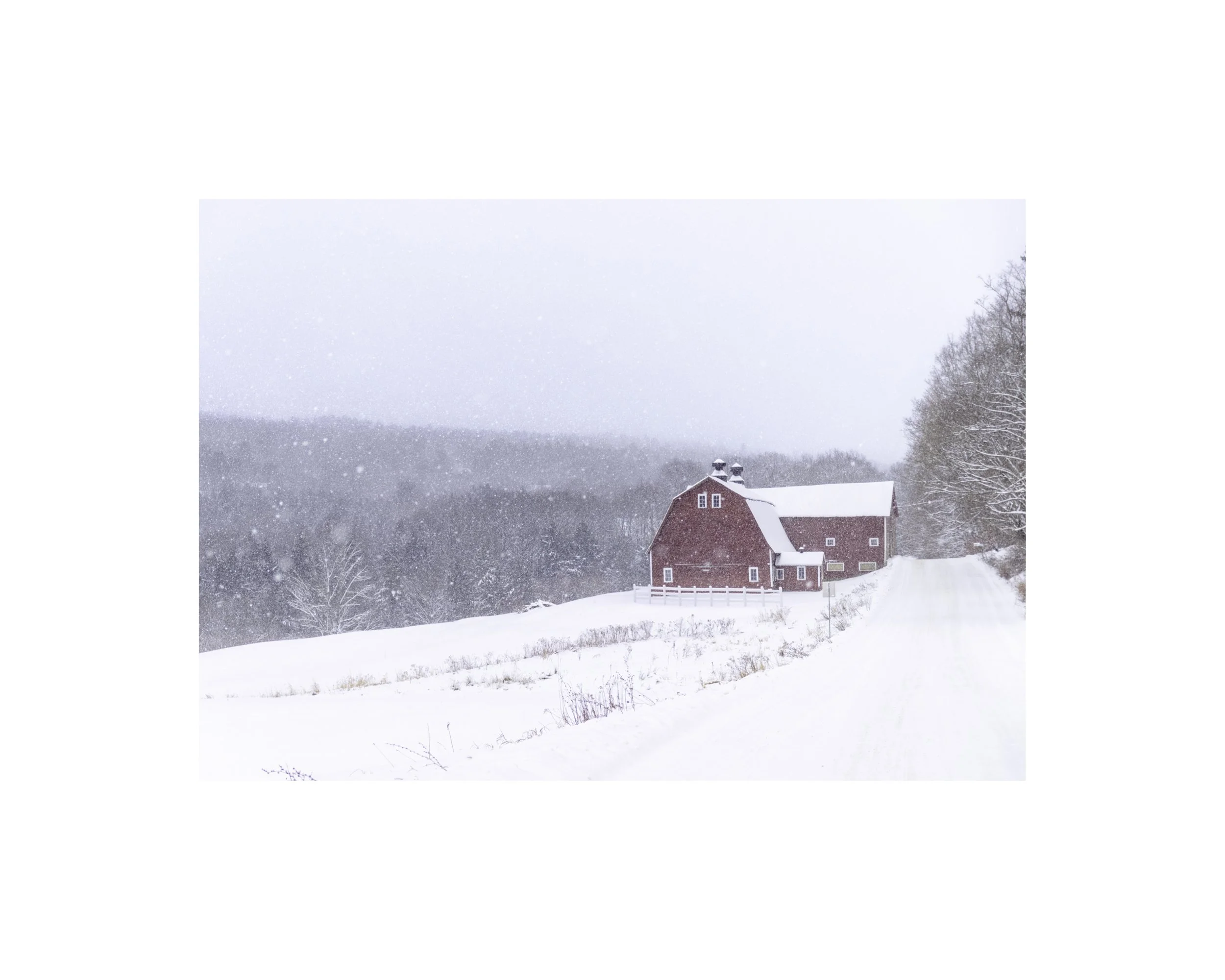 IMGG6798 8x10 1.625 CAT.jpg