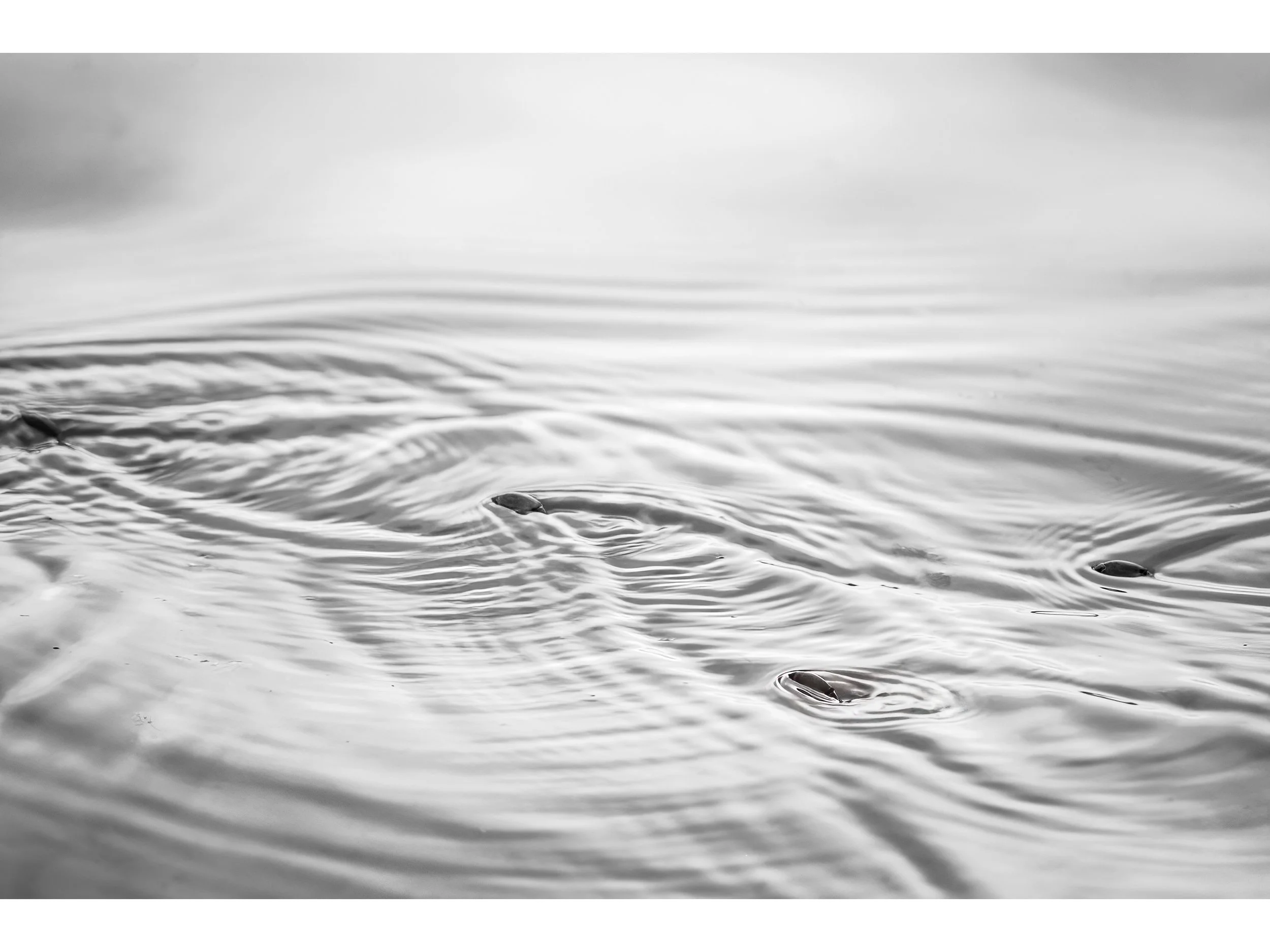 IMG_0766 ICON.jpg
