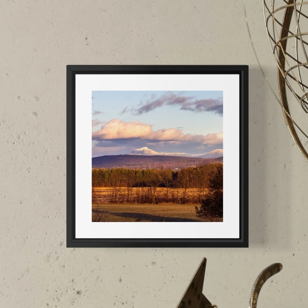 IMGA5586 5x5 0.5 FRAME.JPG