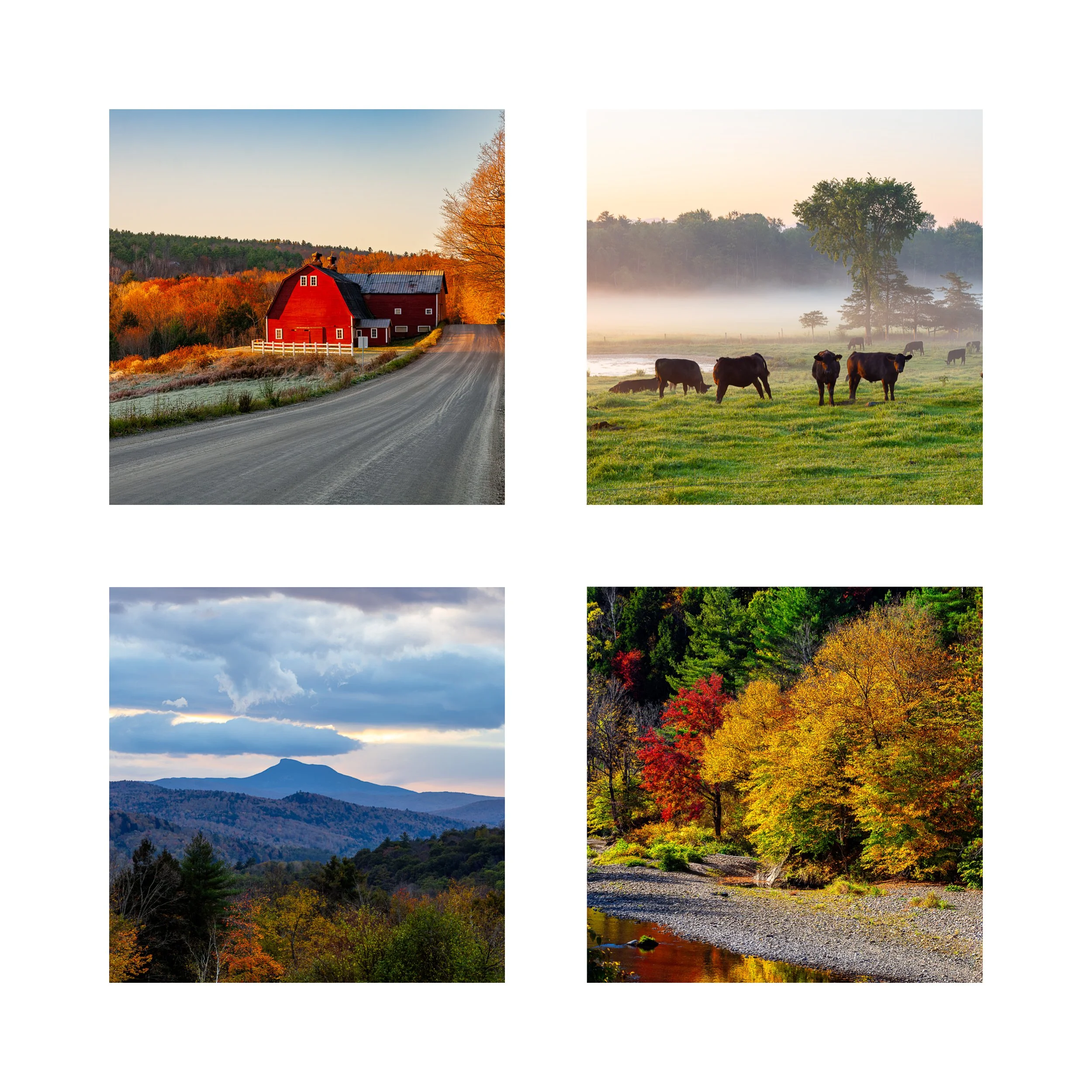 VERMONT MIX 1 COLLAGE 10X10 1 0.75 CAT.jpg