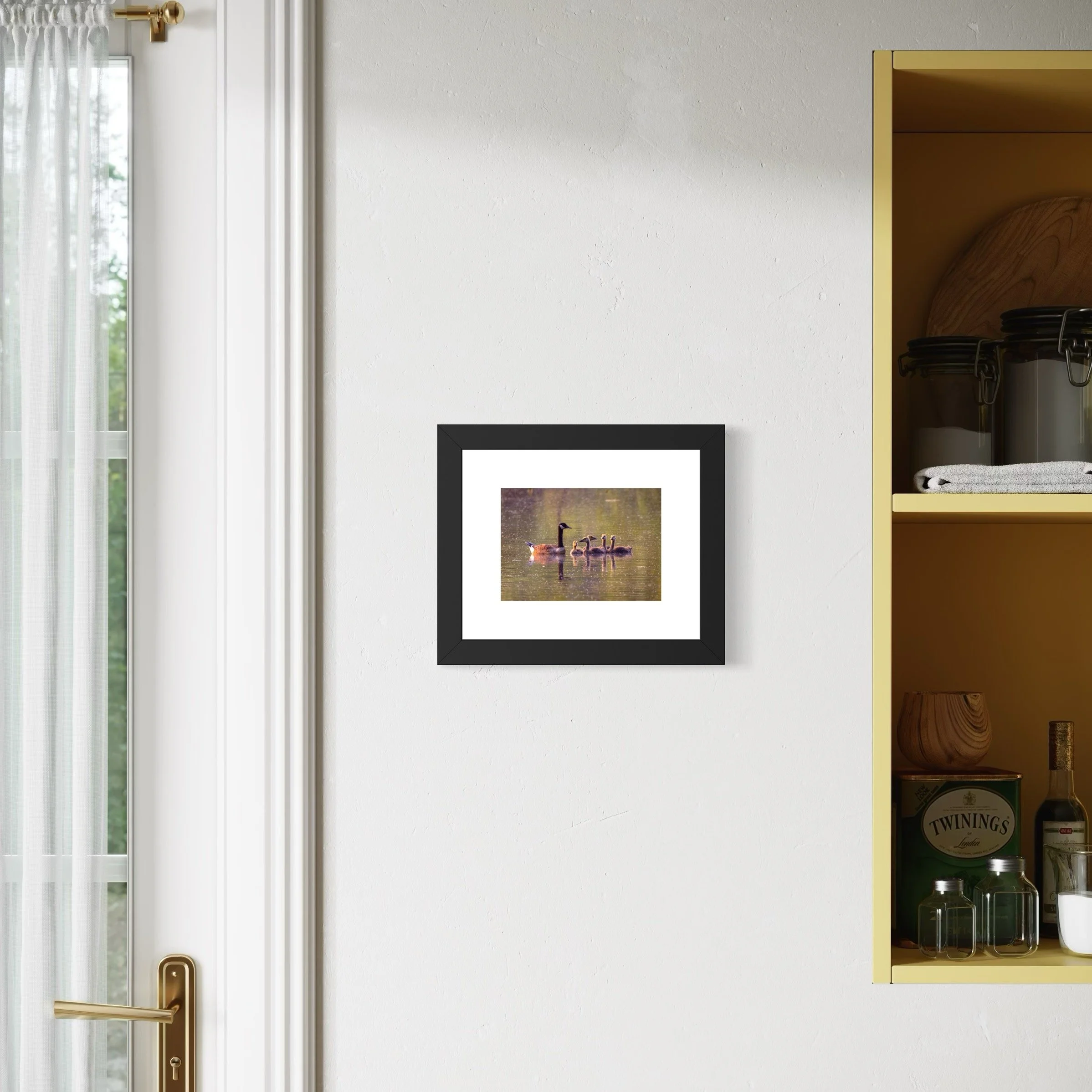 IMGF3445 8x10 1.625 FRAME.JPG