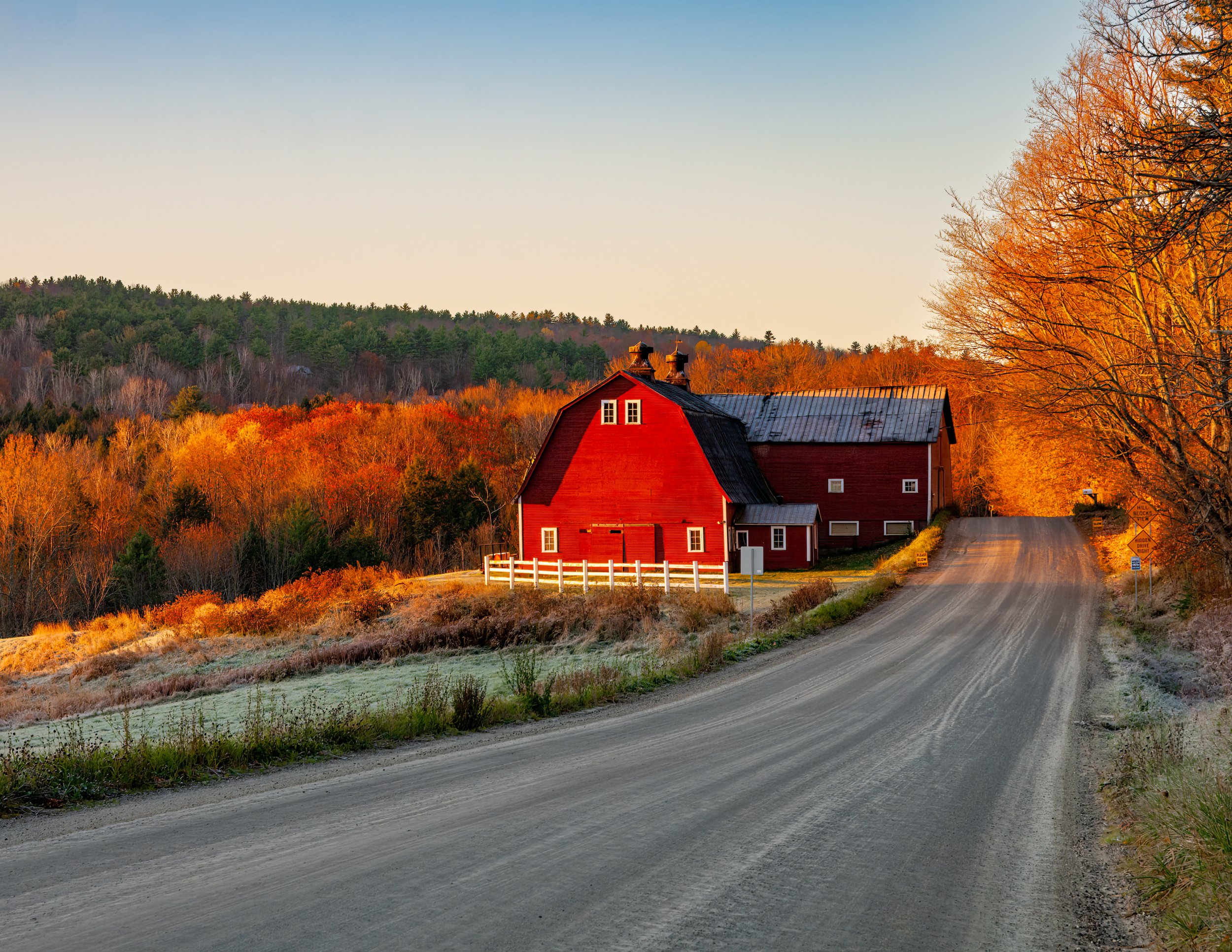 IMG_1314 POSTCARD 8.5x11 CAT.jpg