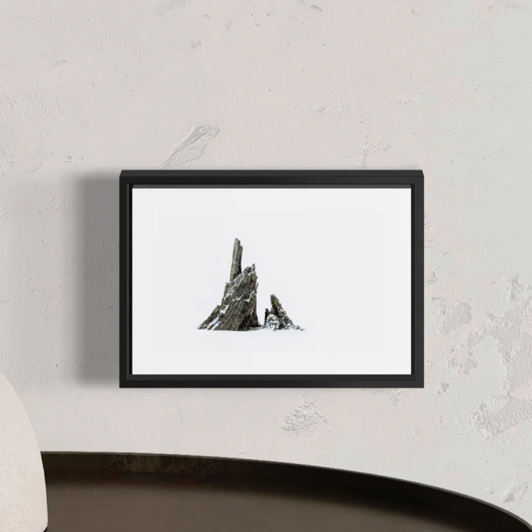 IMGE9181 4X6 0.5 0.56 FRAME.JPG (Copy)