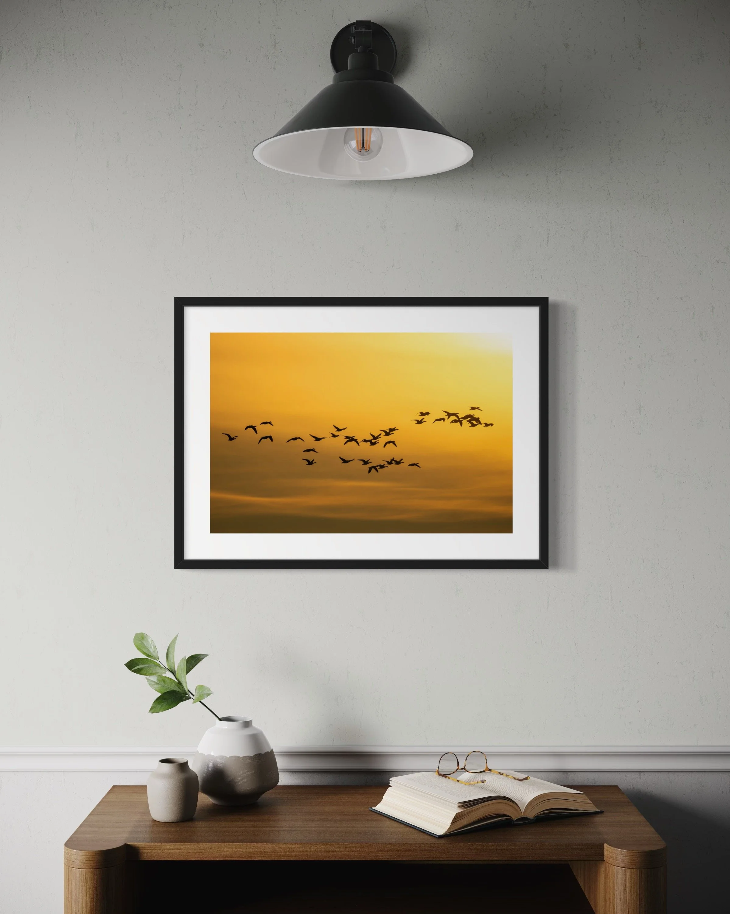 IMGD2159 20x28 2.125 FRAME.JPG