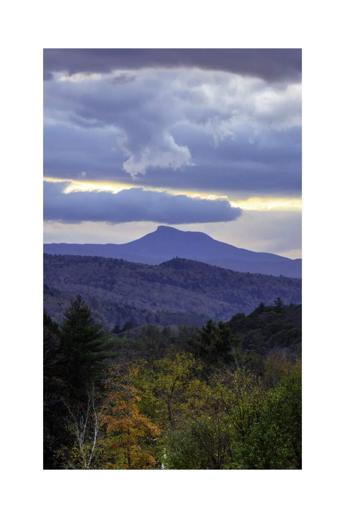 IMGA0022 4X6 0.5 0.56 CAT.jpg