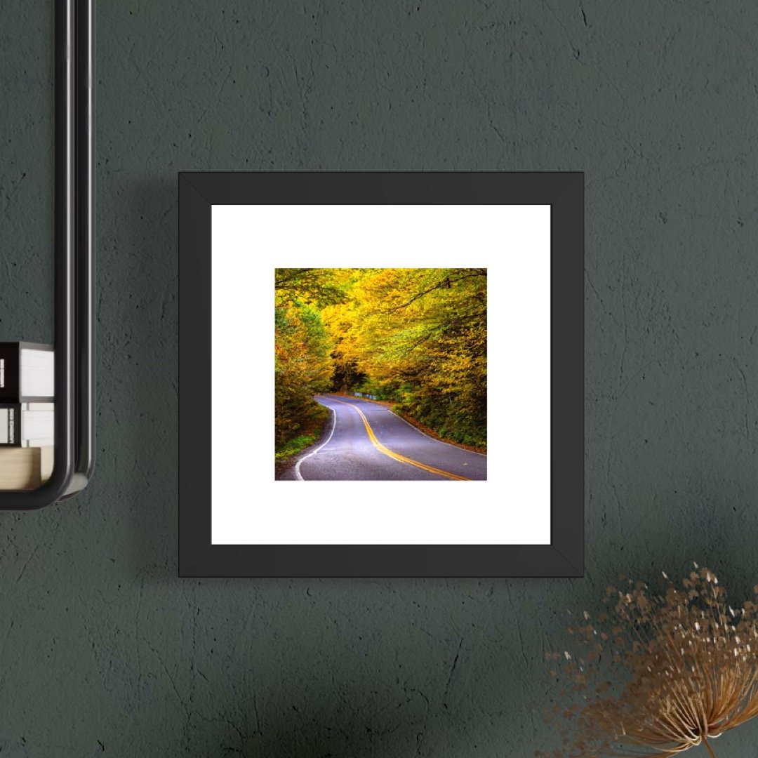 IMGG3002 6x6 1.125 FRAME.JPG