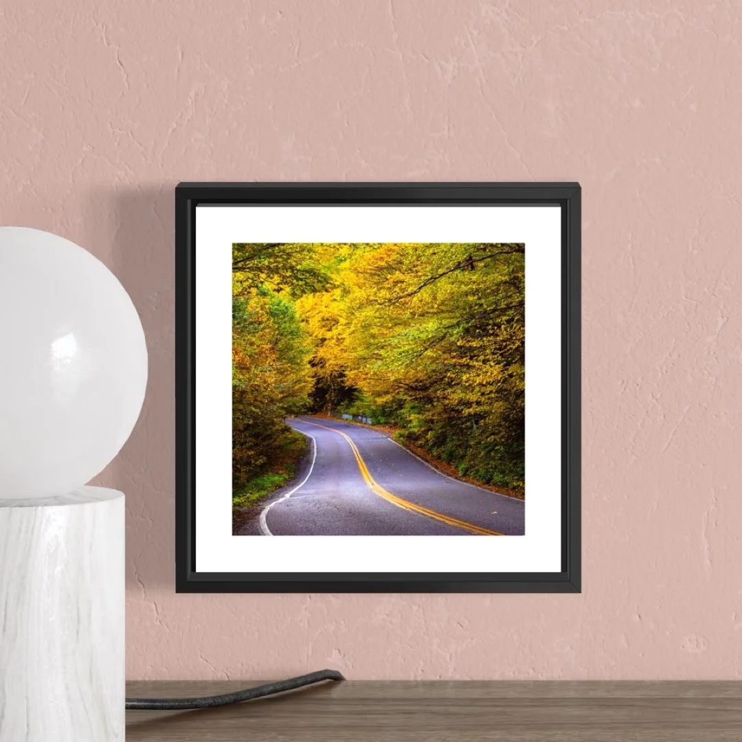 IMGG3002 5x5 0.5 FRAME.JPG