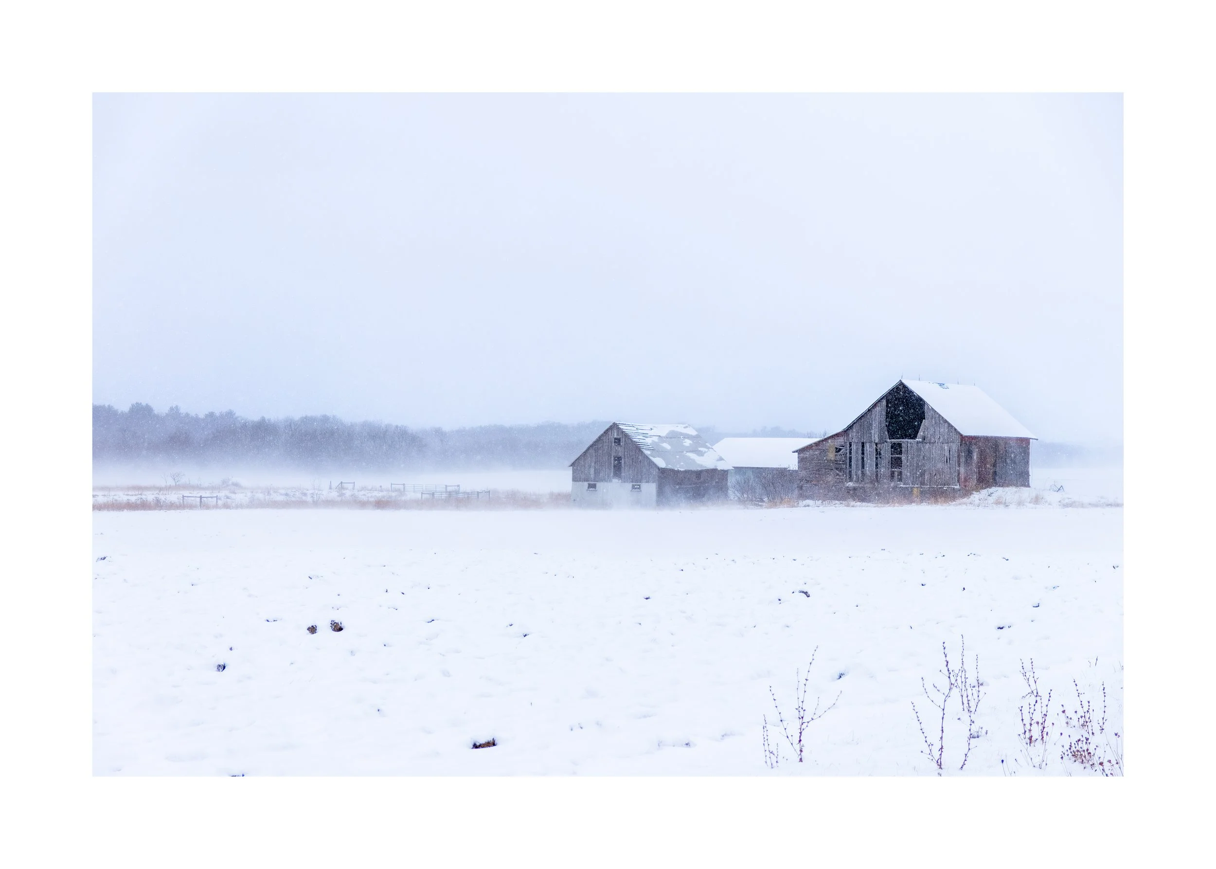 IMGG6619 20X28 2.125 CAT-L.jpg