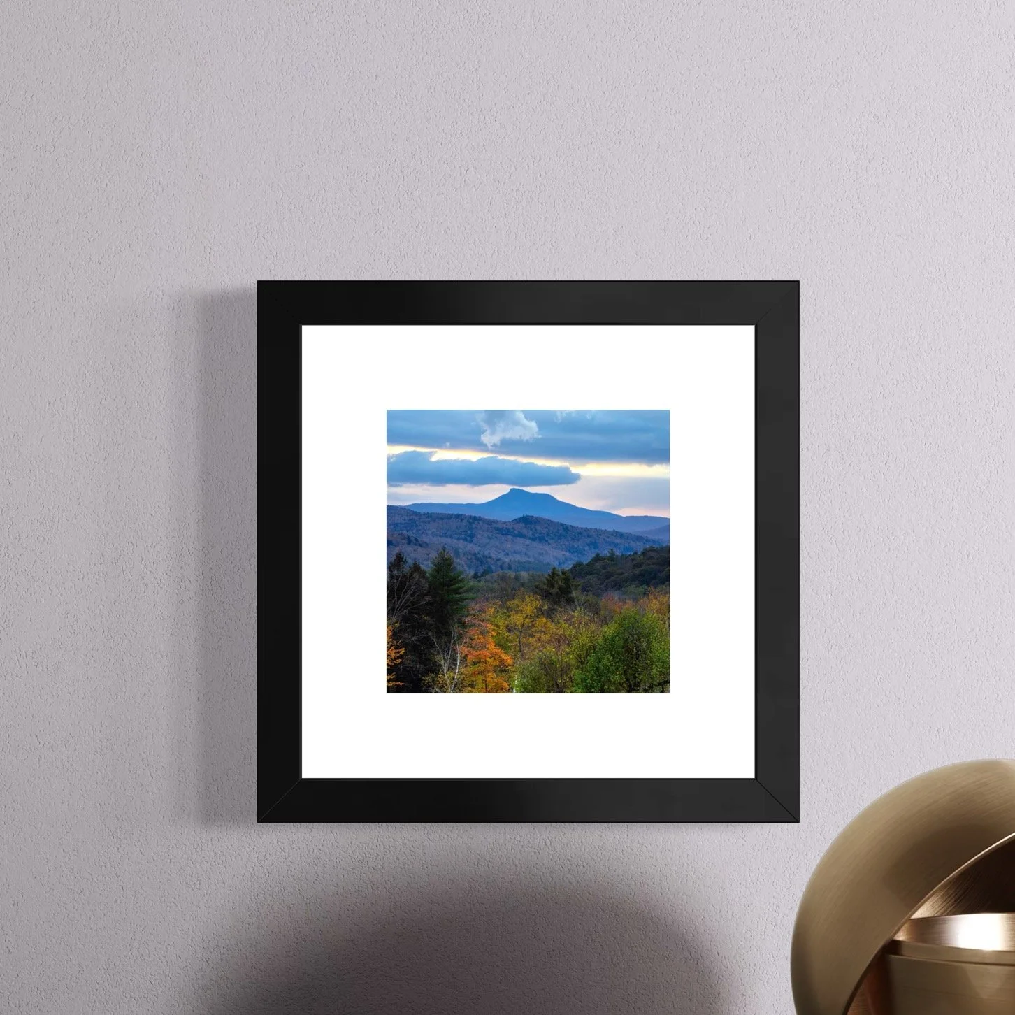 IMGA0022 6x6 1.125 FRAME.JPG