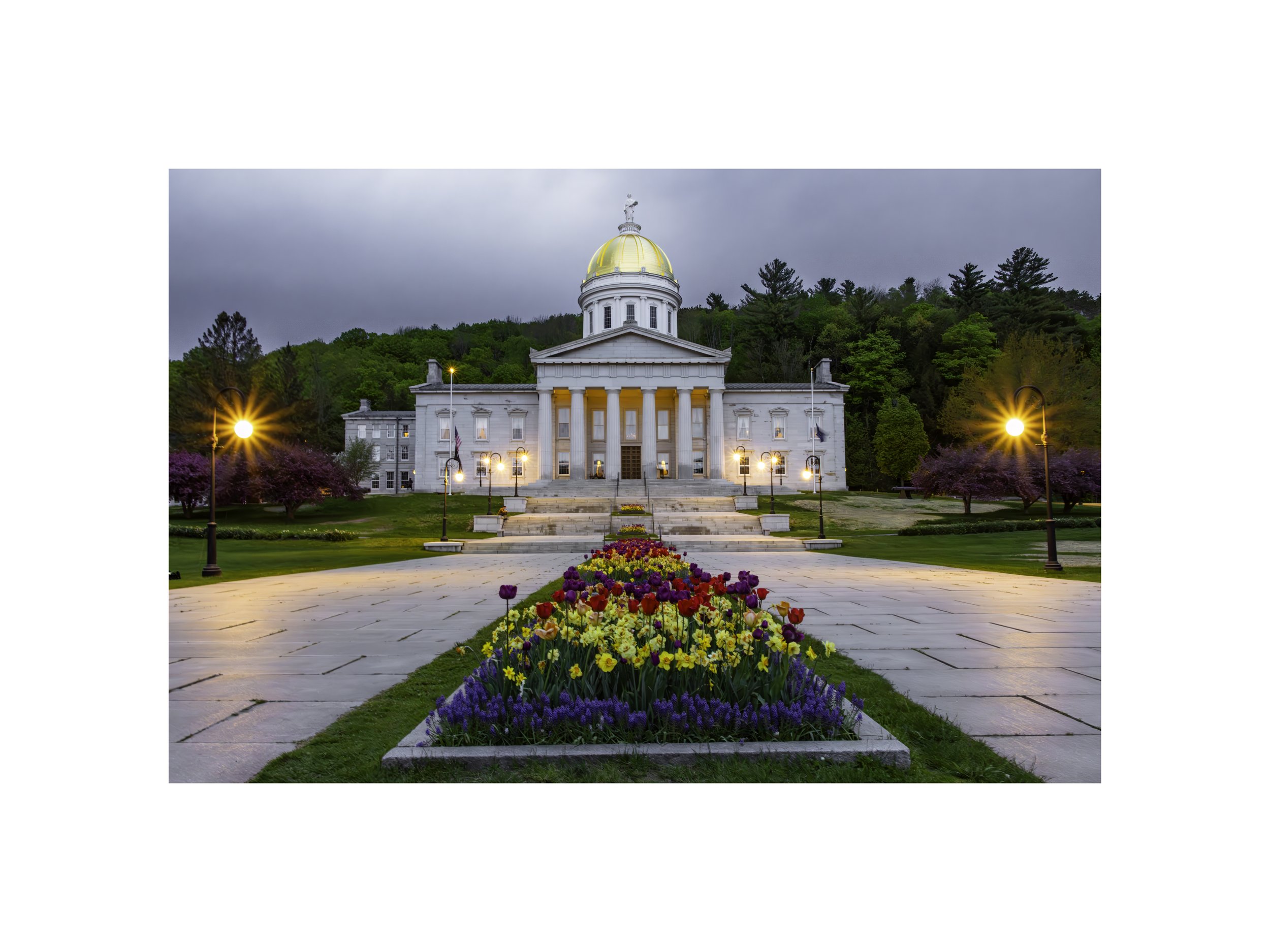 IMGA9706 12x16 2.125 CAT.jpg