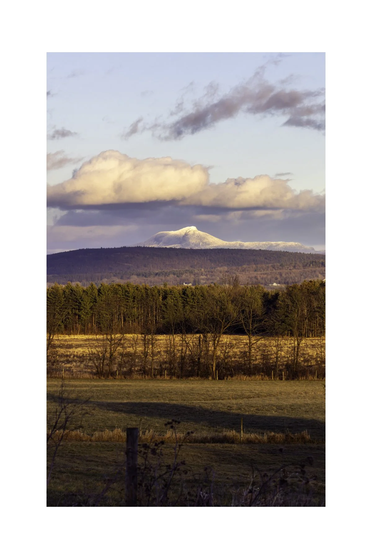 IMGA5586 4X6 0.5 0.56 CAT.jpg