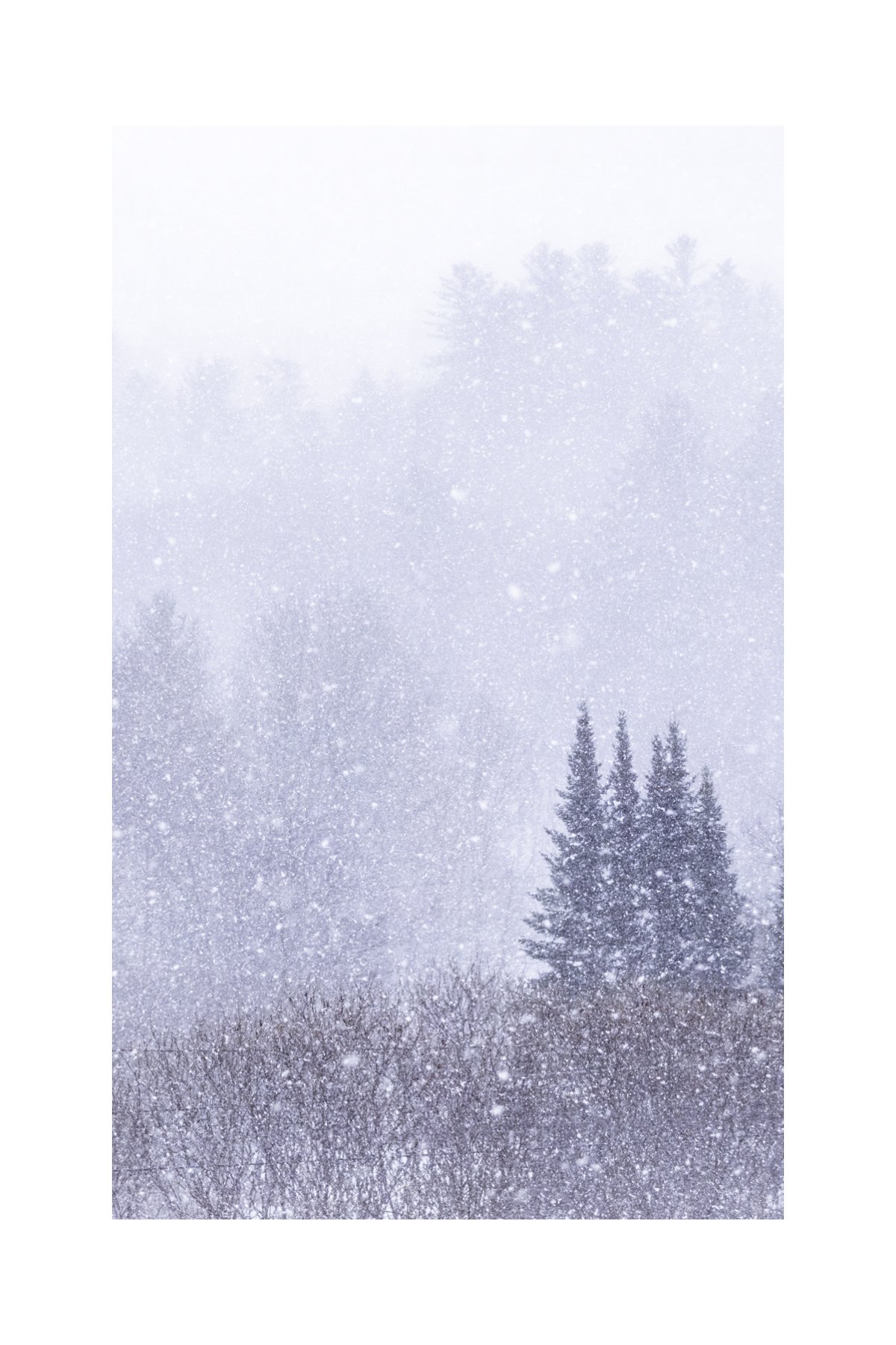 IMGA0204 E2 V A 4X6 0.5 0.56 CAT.jpg