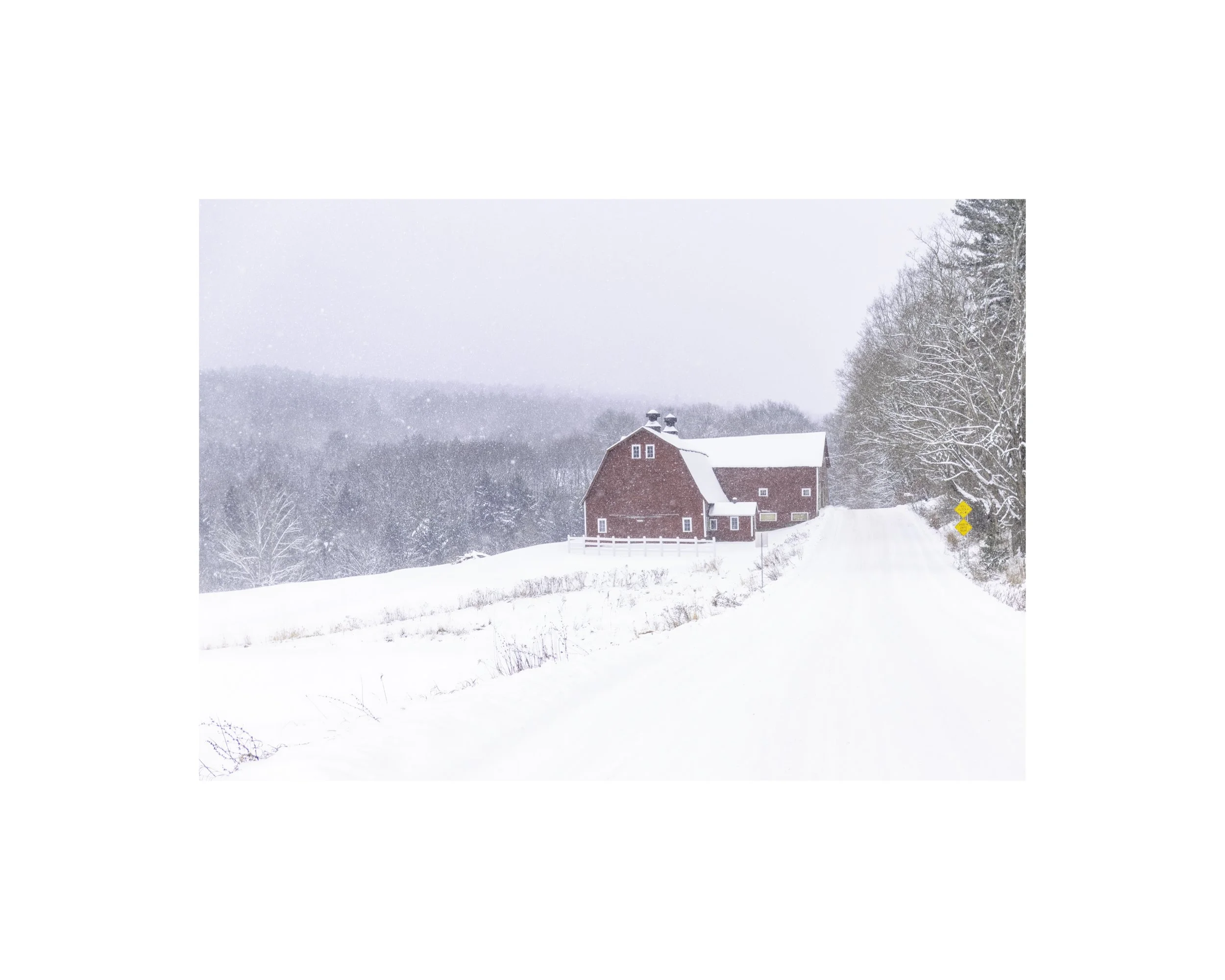 IMGG6778 8x10 1.625 CAT.jpg