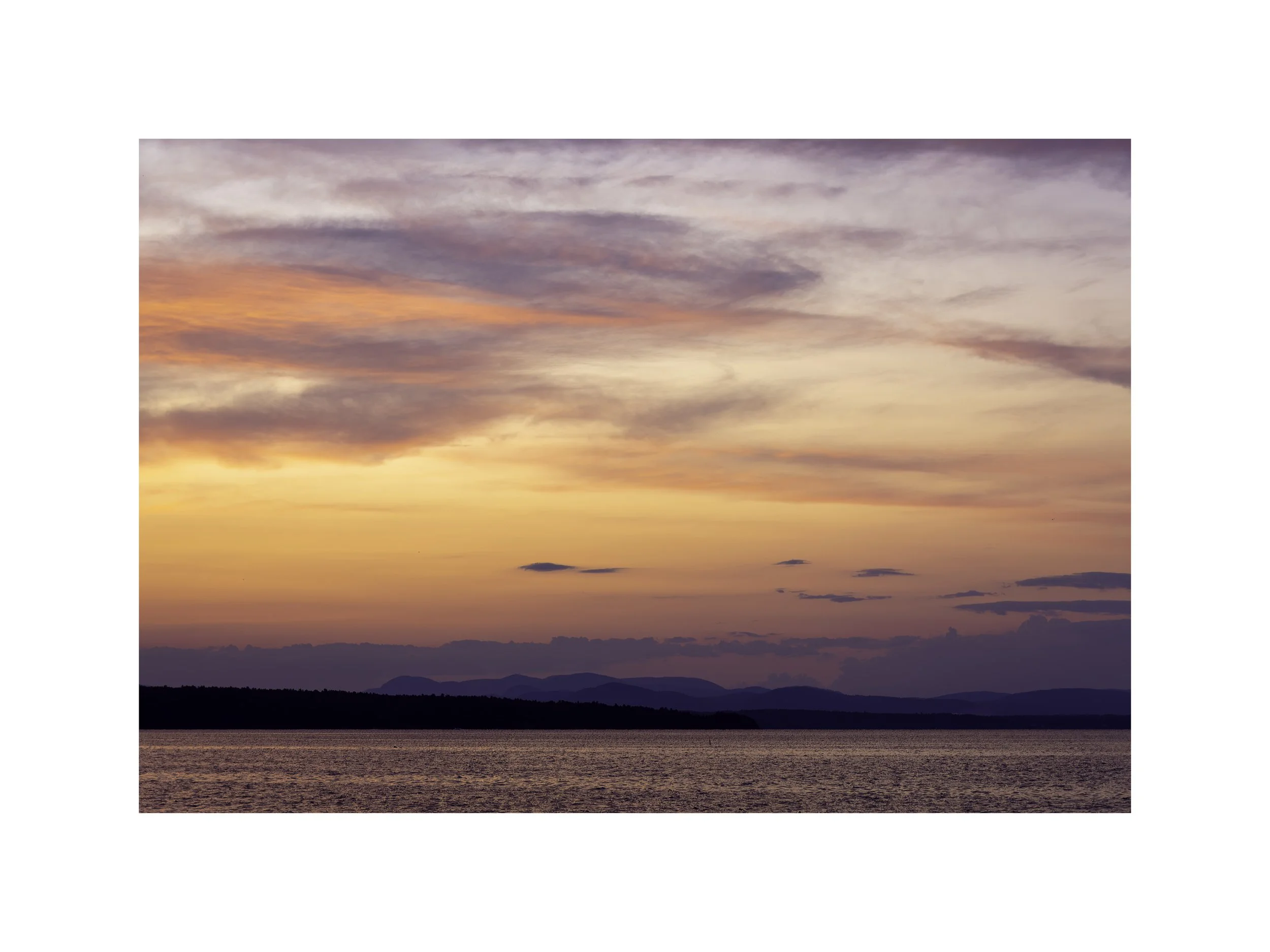 IMGF4962 18x24 2.625 CAT.jpg