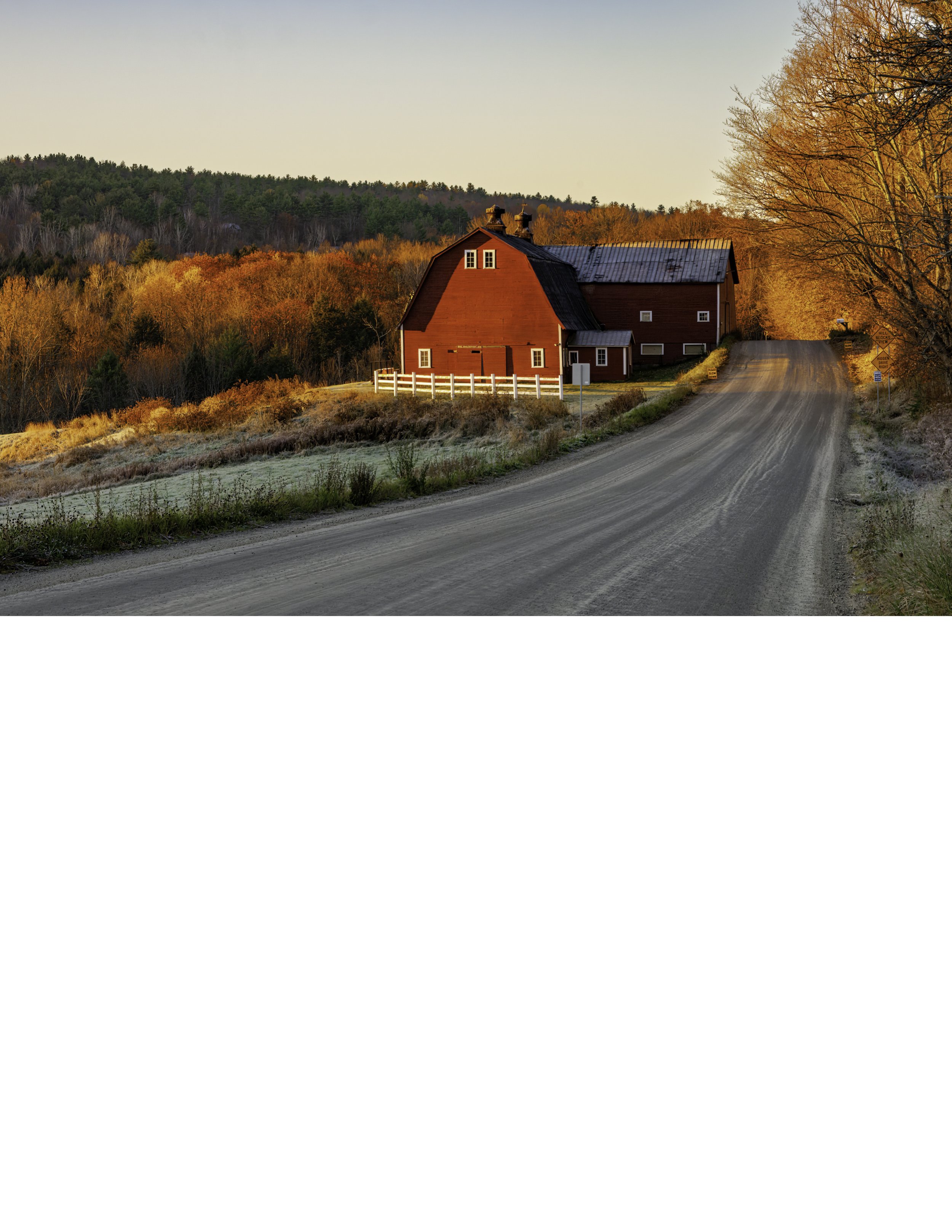 IMG_1314 NOTEPAD BASE 8.5x11 CAT.jpg