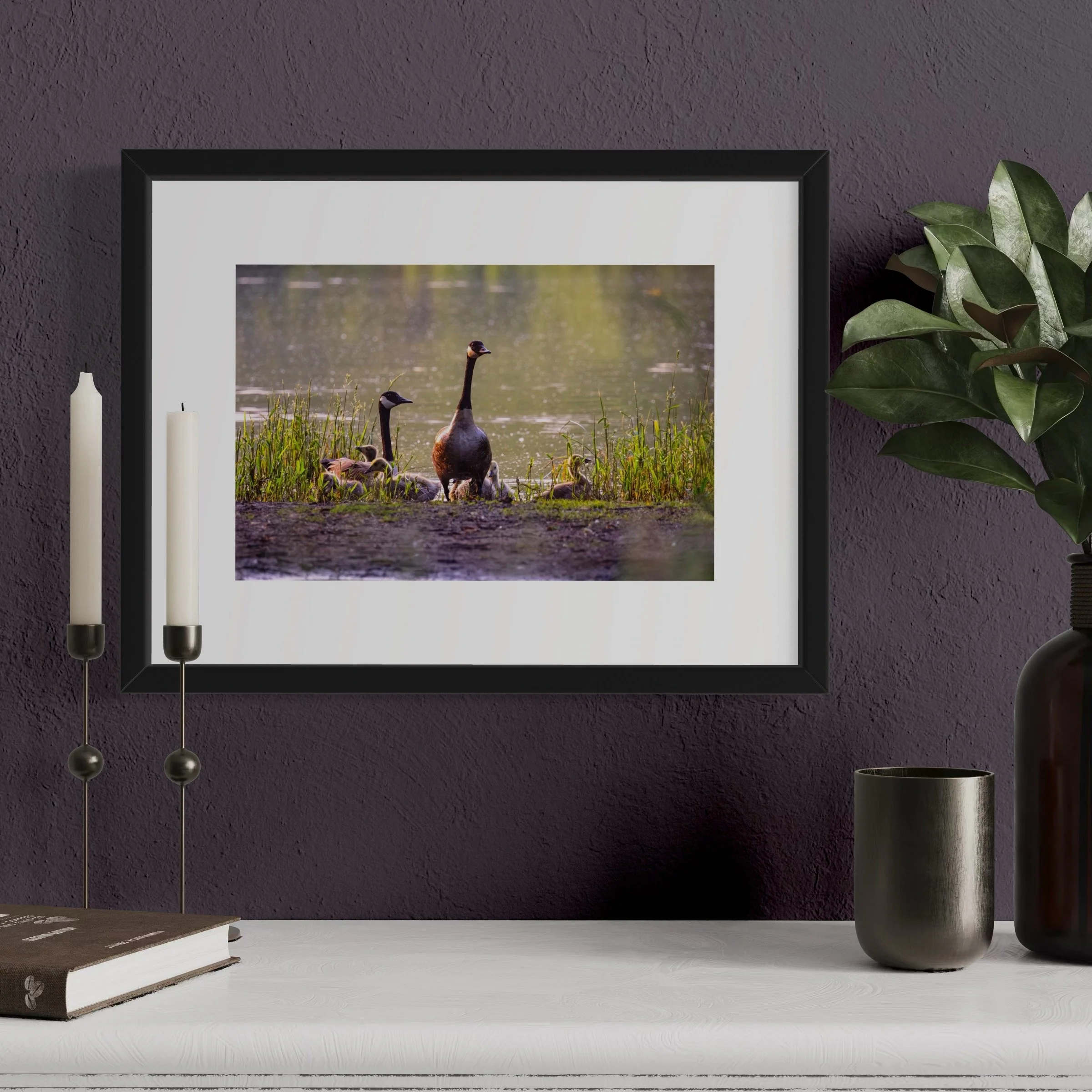 IMGF3641 12x16 2.125 FRAME.JPG