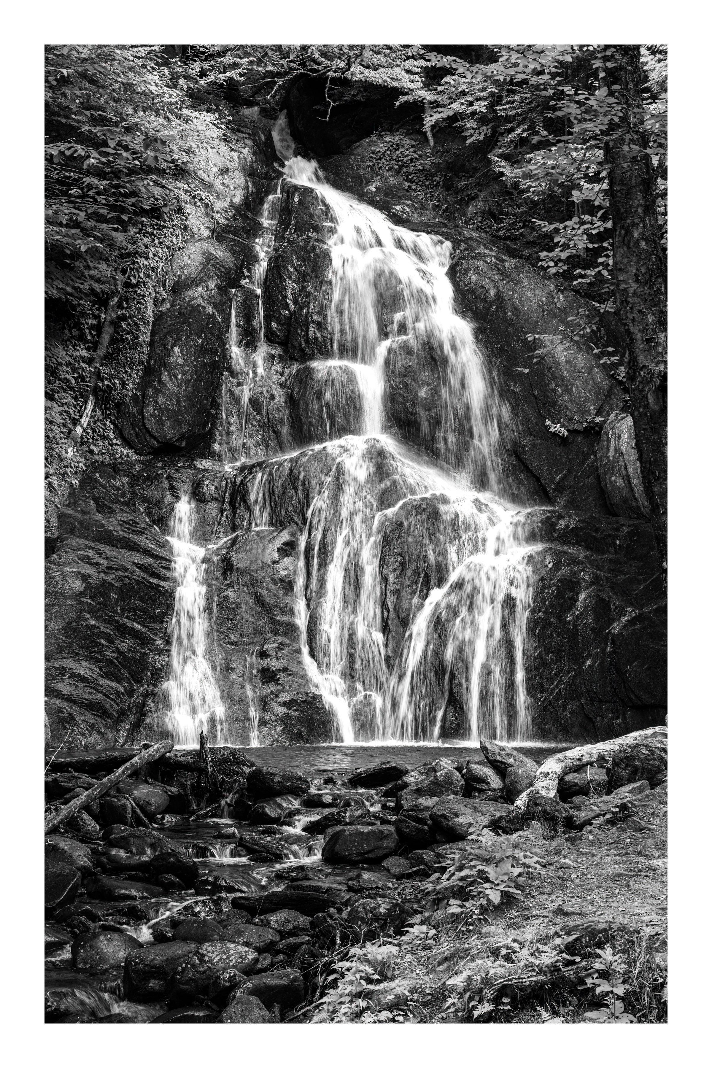IMGB0438 BW
