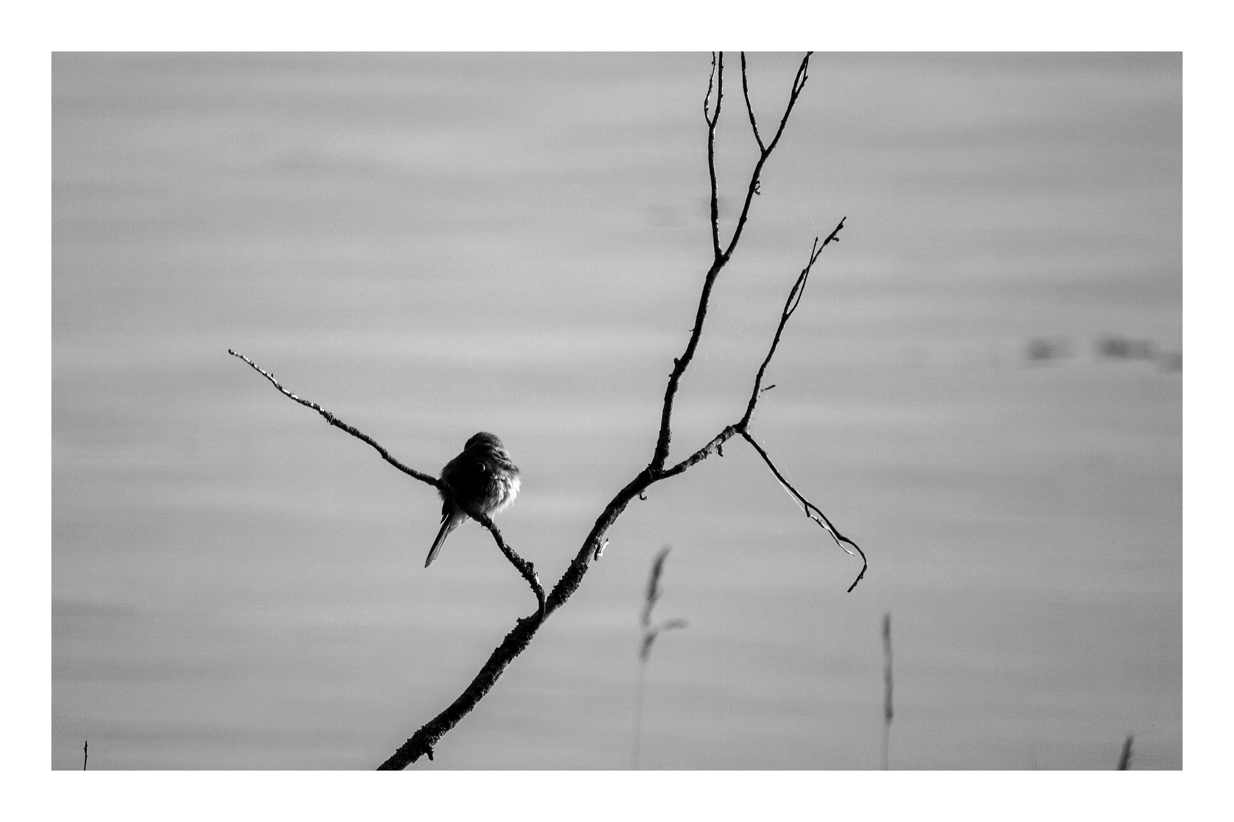 IMG_6360