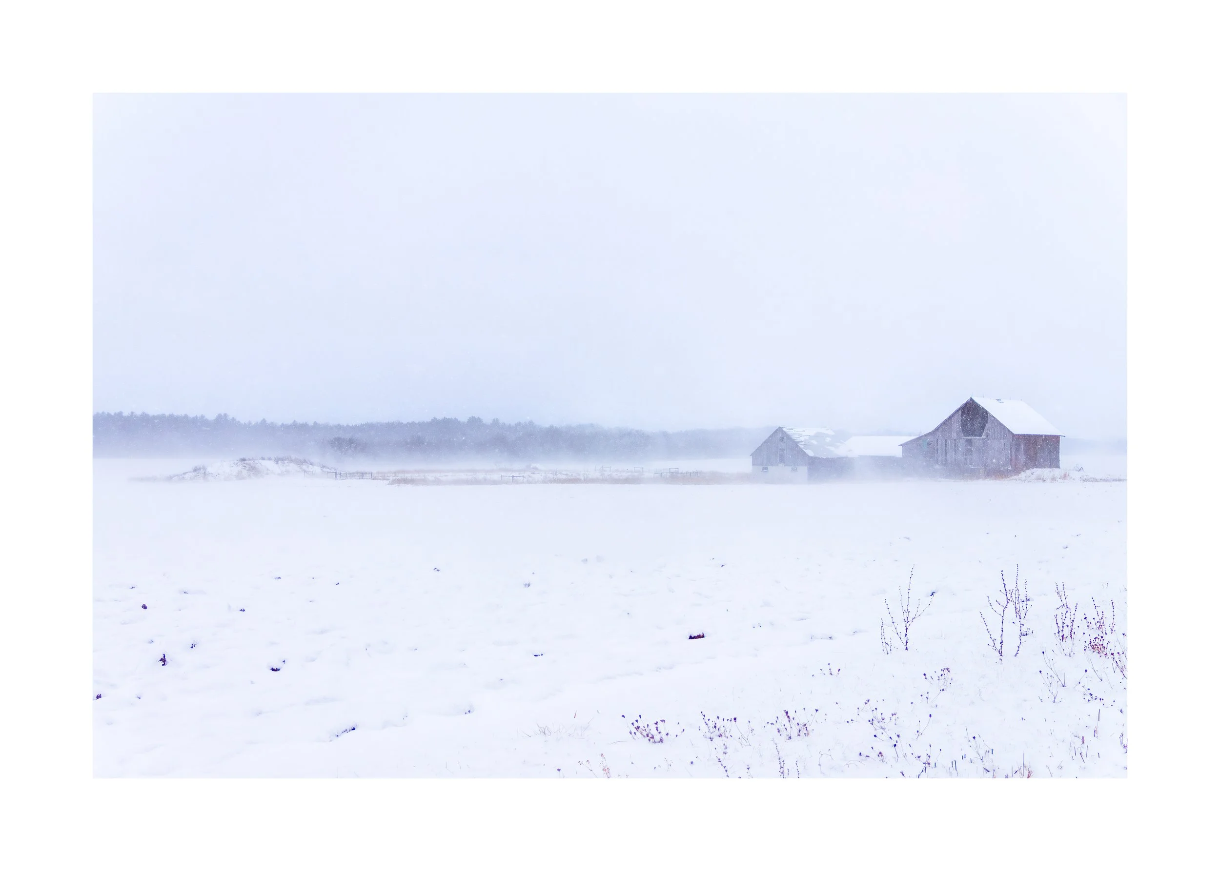 Erin's Barn Winter II