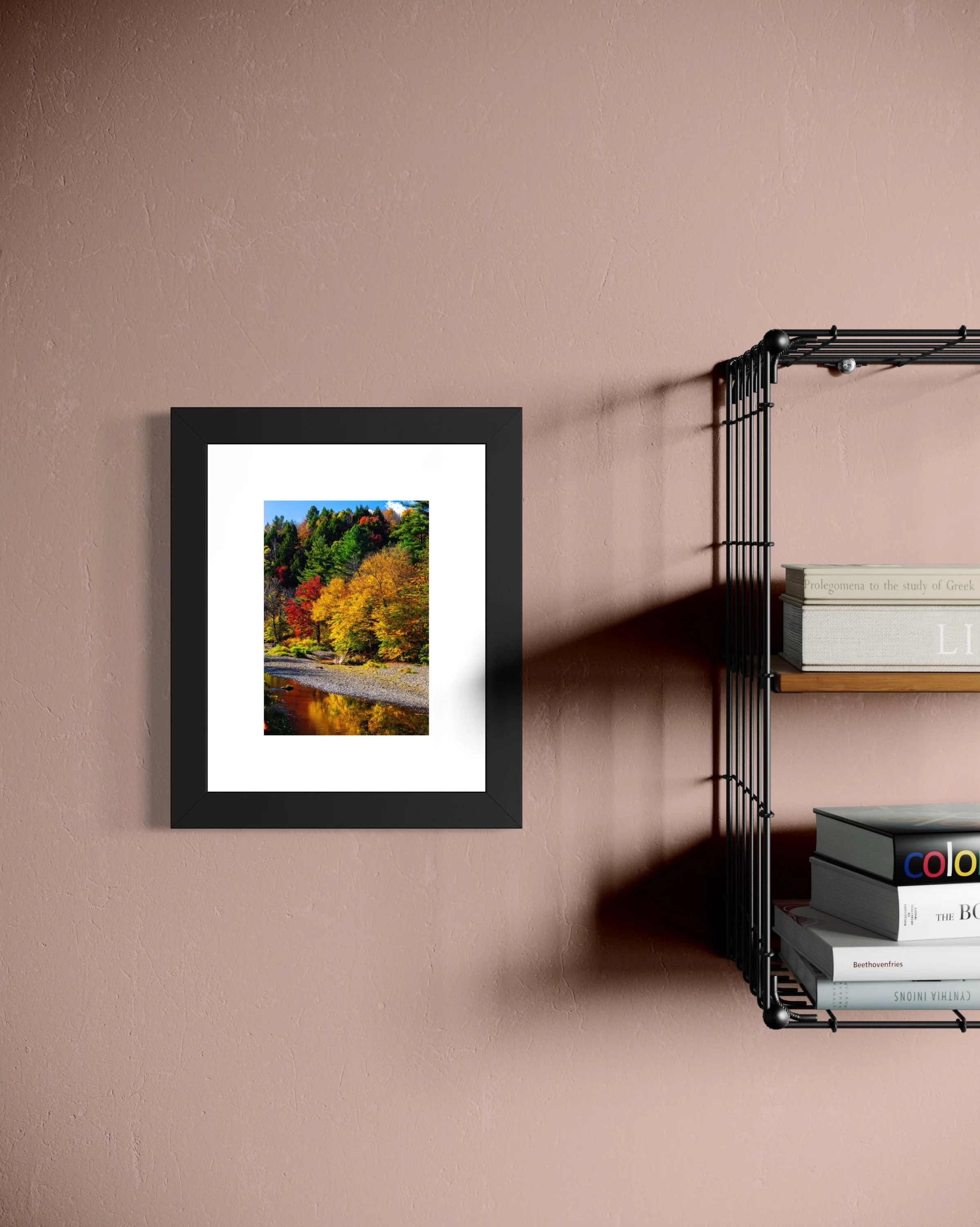 IMGC9966 10X8 1.625 FRAME.JPG